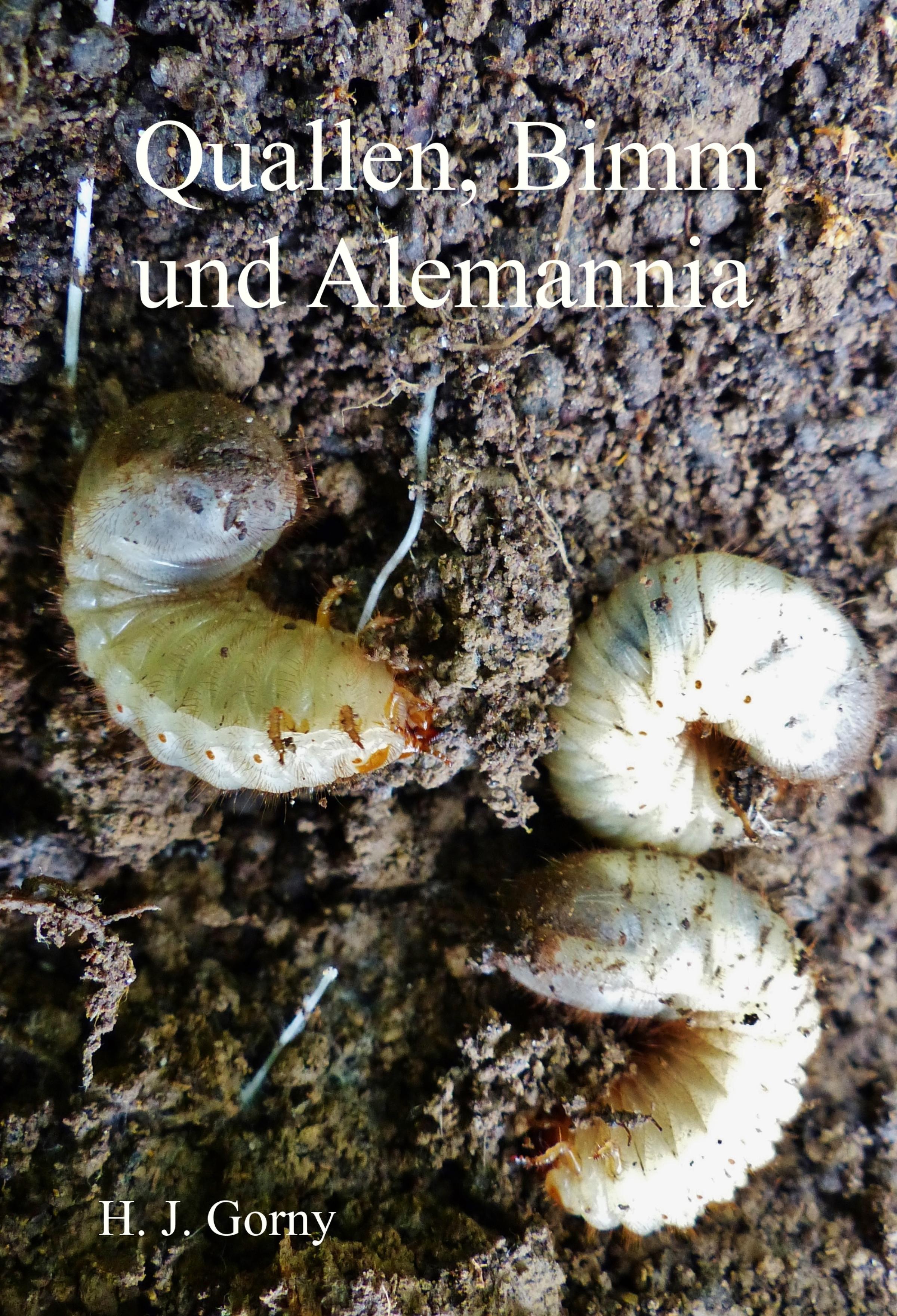 Обложка книги «Quallen, Bimm und Alemannia»