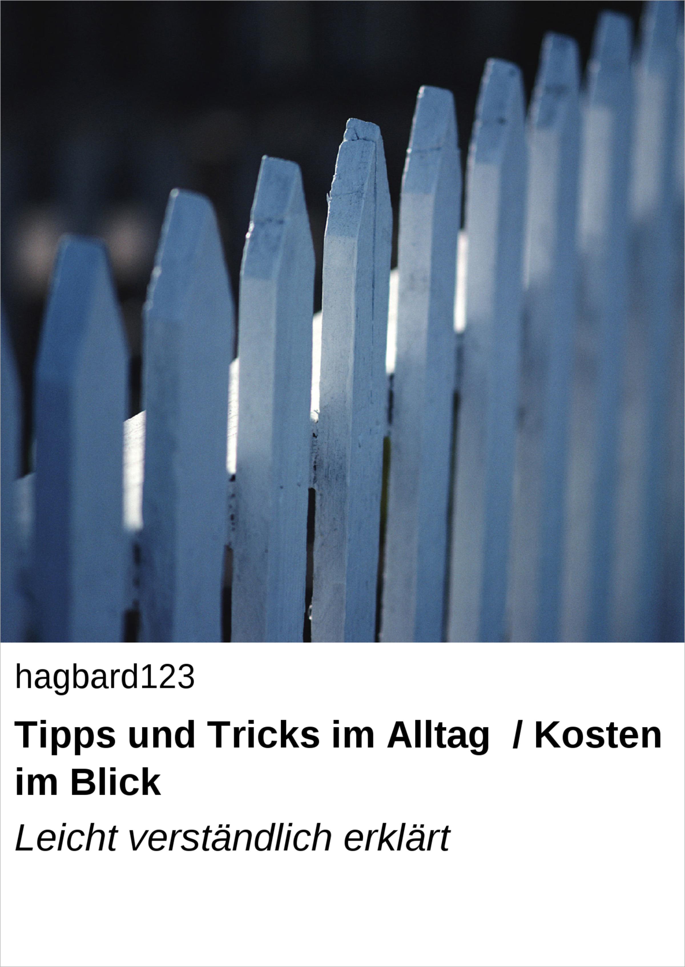 Обложка книги «Tipps und Tricks im Alltag / Kosten im Blick»