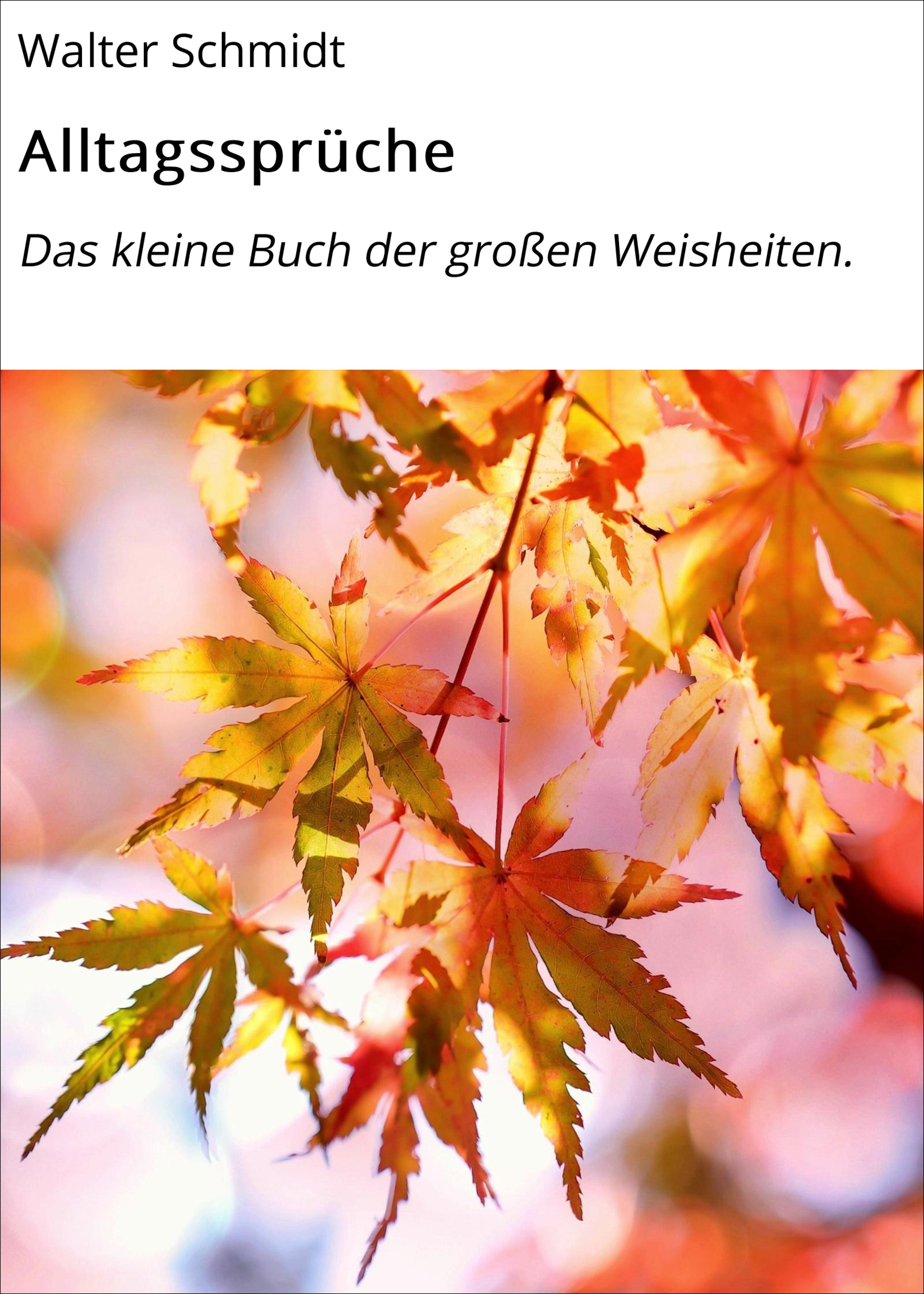 Обложка книги «Alltagssprüche»