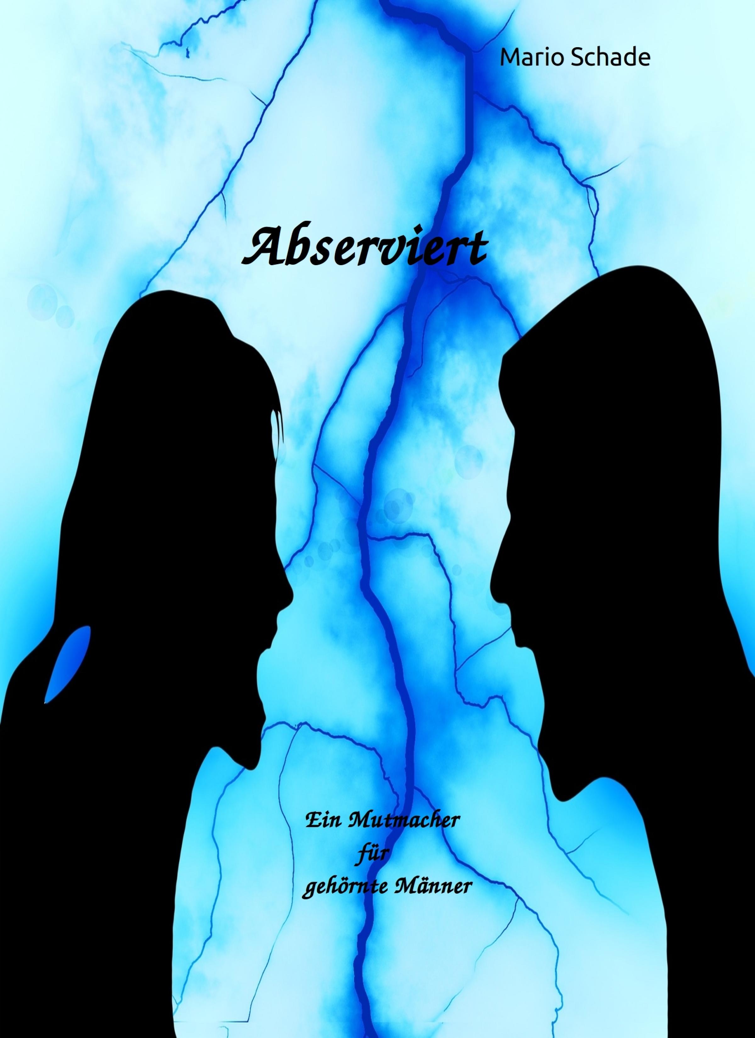 Обложка книги «Abserviert»