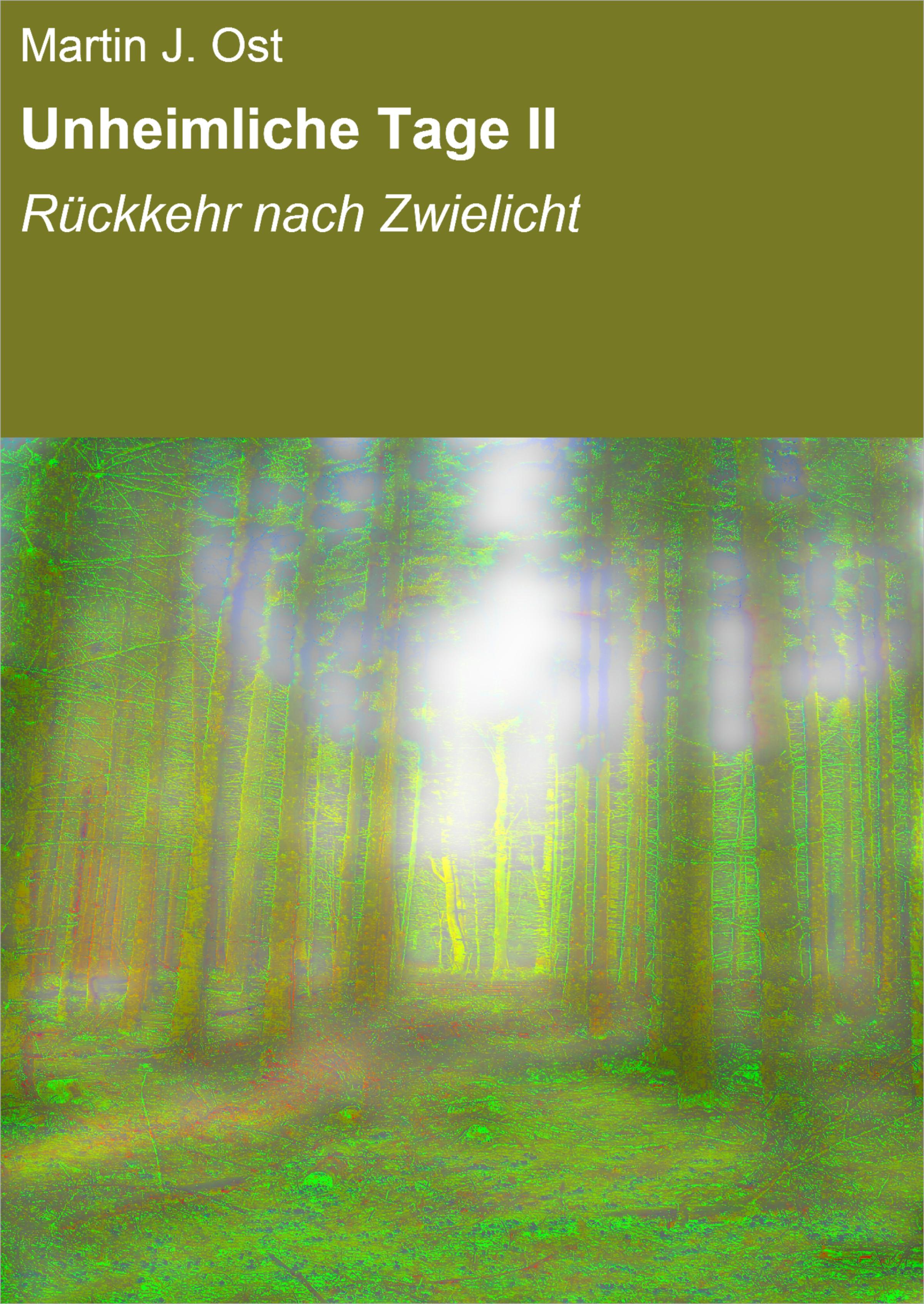 Обложка книги «Unheimliche Tage II»
