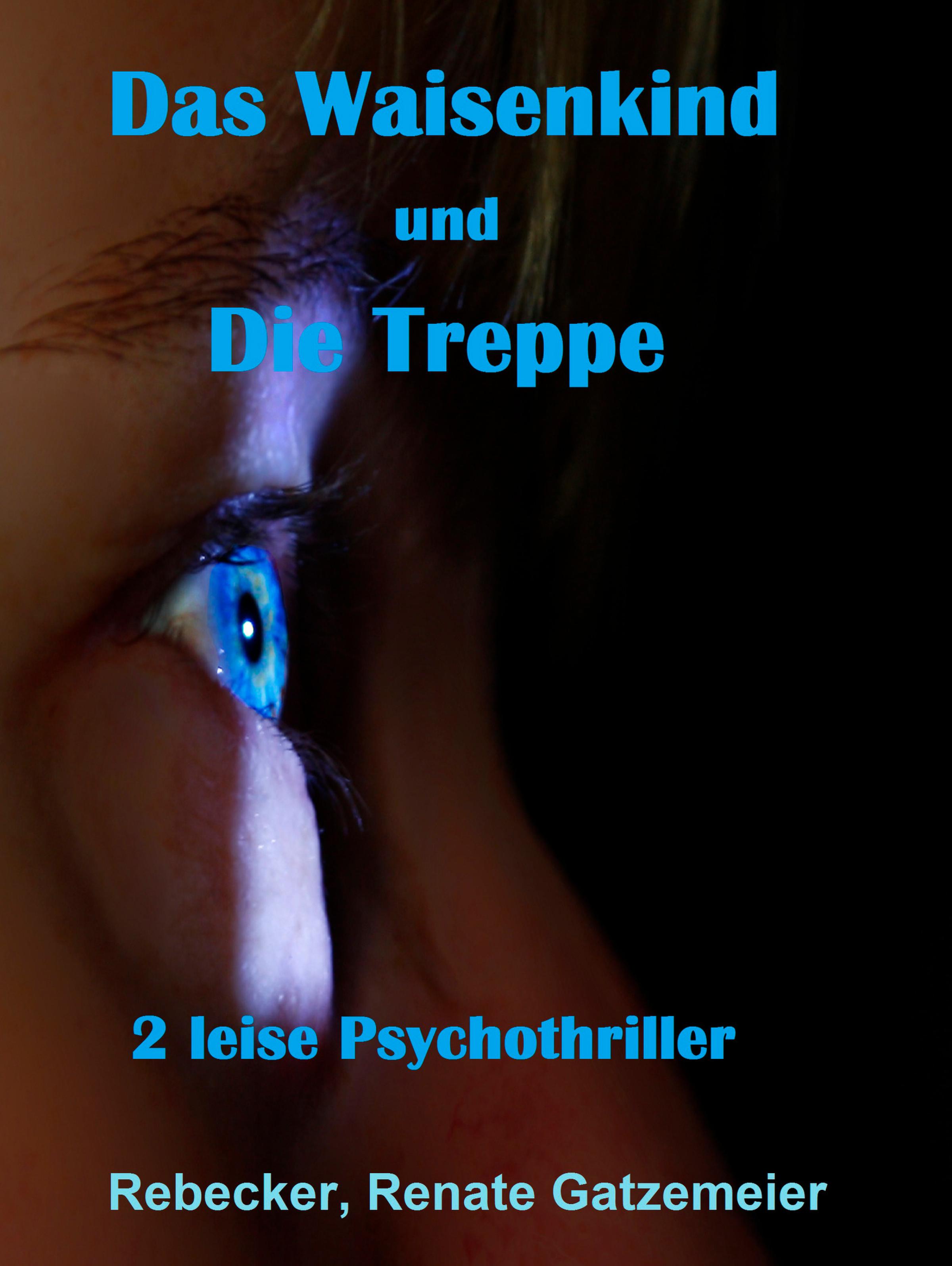 Обложка книги «"Das Waisenkind" und "Die Treppe"»