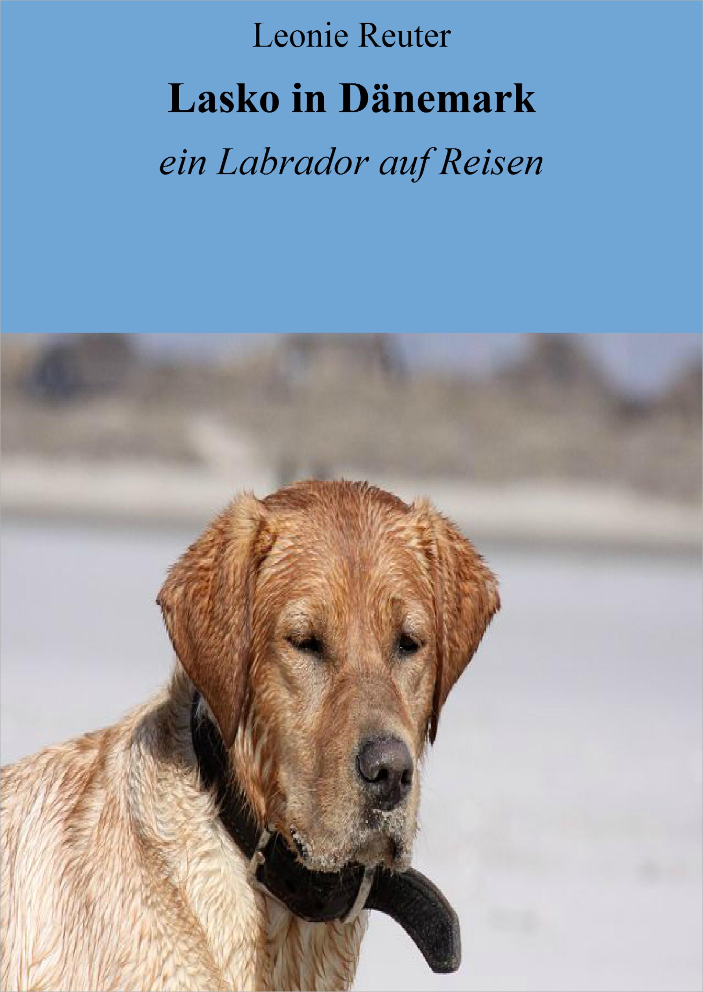 Обложка книги «Lasko in Dänemark»