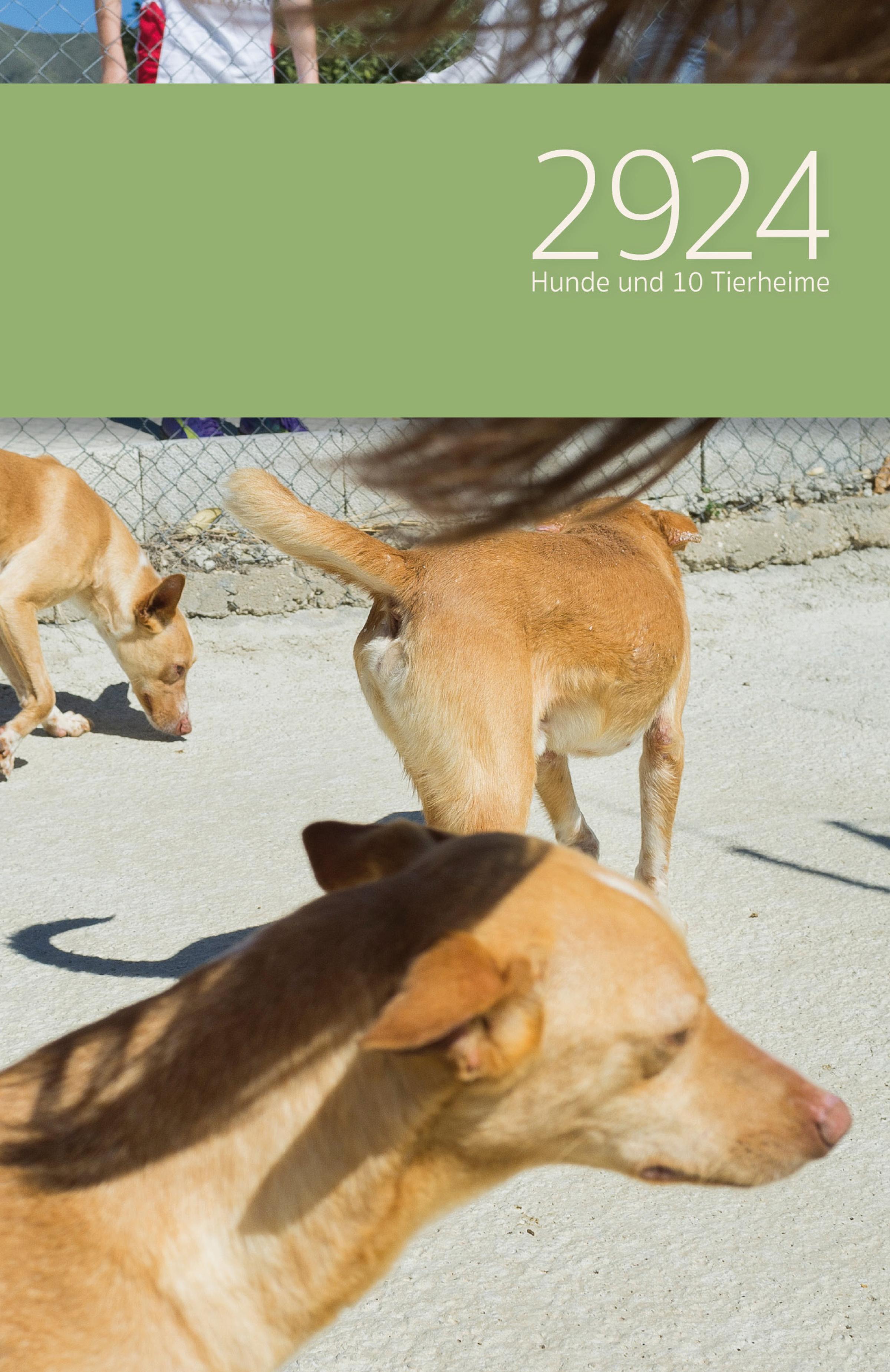 Обложка книги «2924 Hunde und 10 Tierheime : Roman»