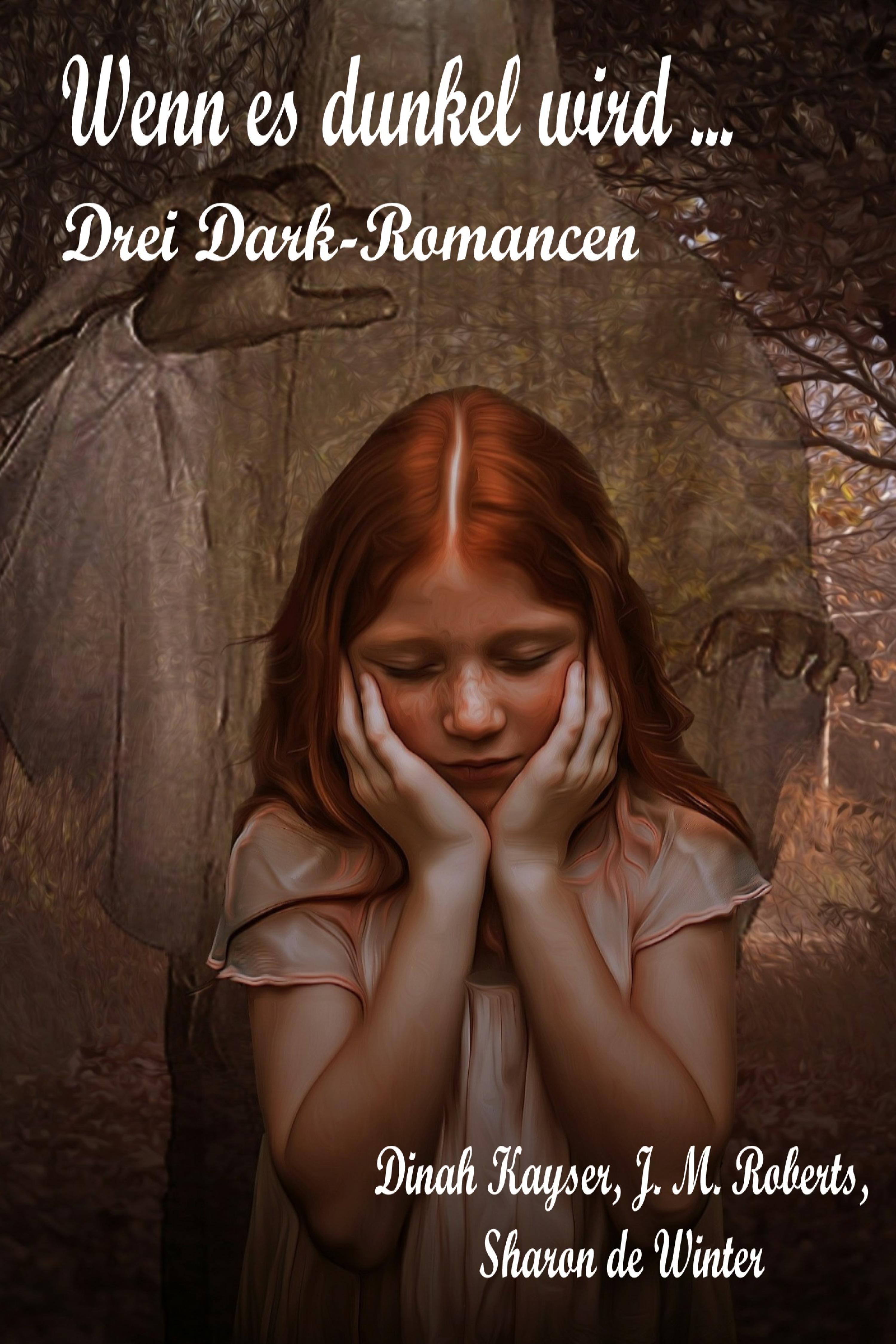 Обложка книги «Wenn es dunkel wird ...»