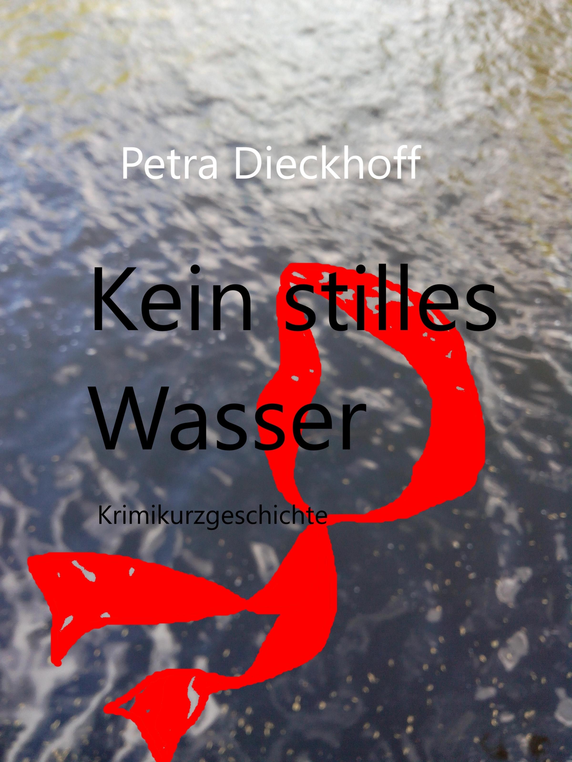 Обложка книги «Kein Stilles Wasser»