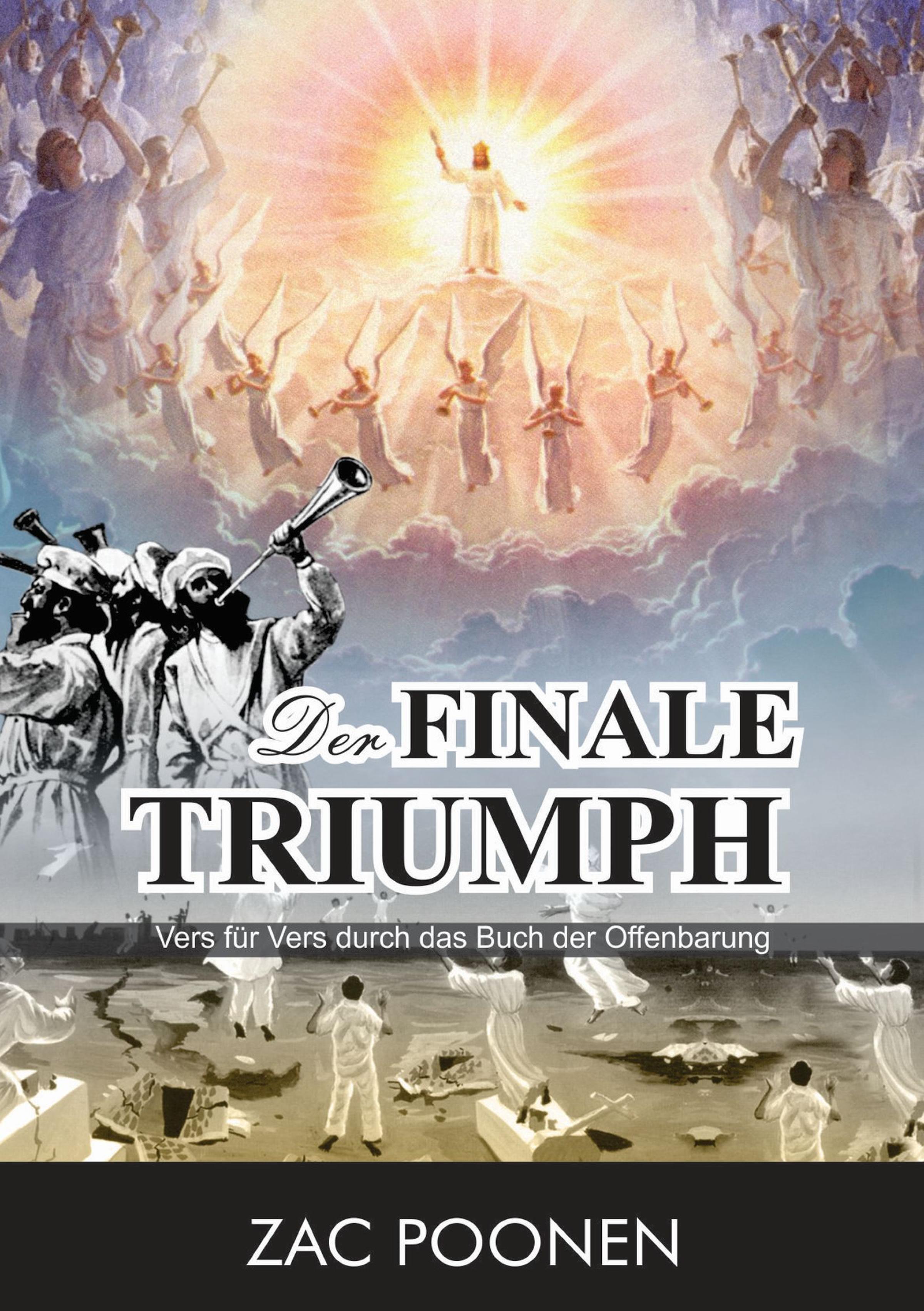 Обложка книги «Der finale Triumph»