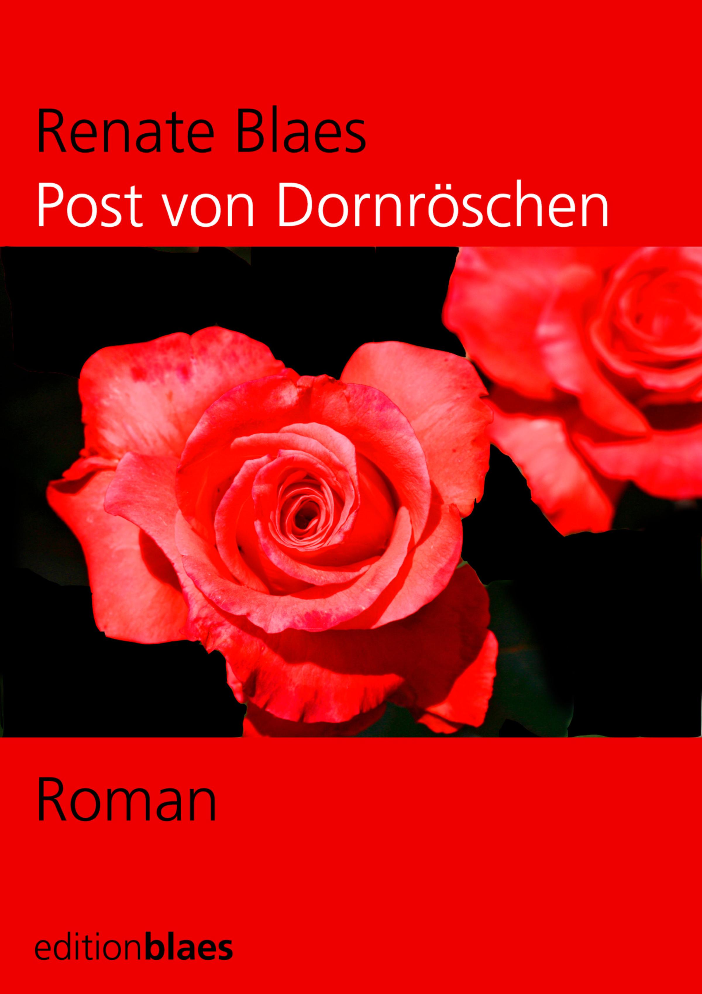 Обложка книги «Post von Dornröschen»