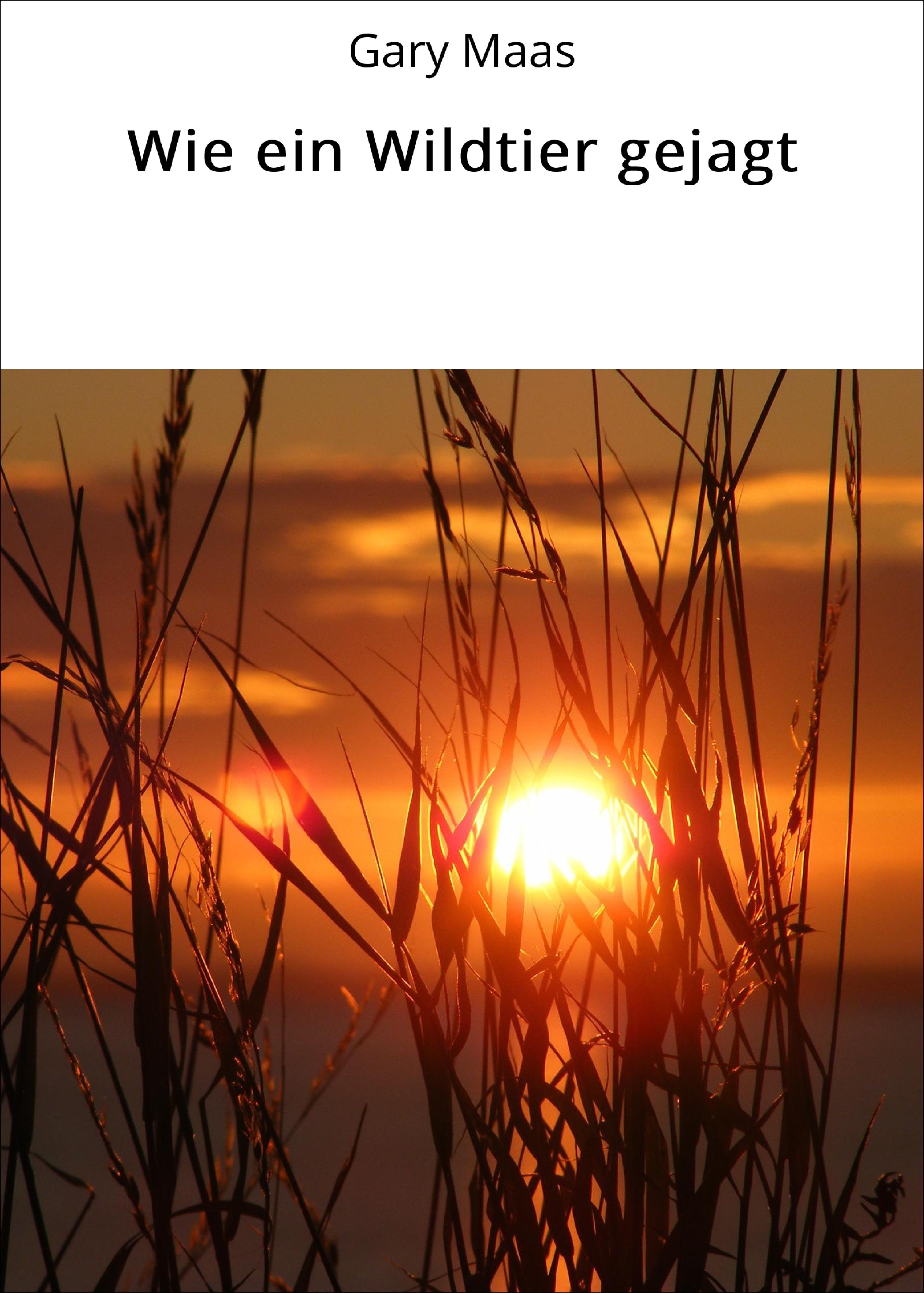 Обложка книги «Wie ein Wildtier gejagt»