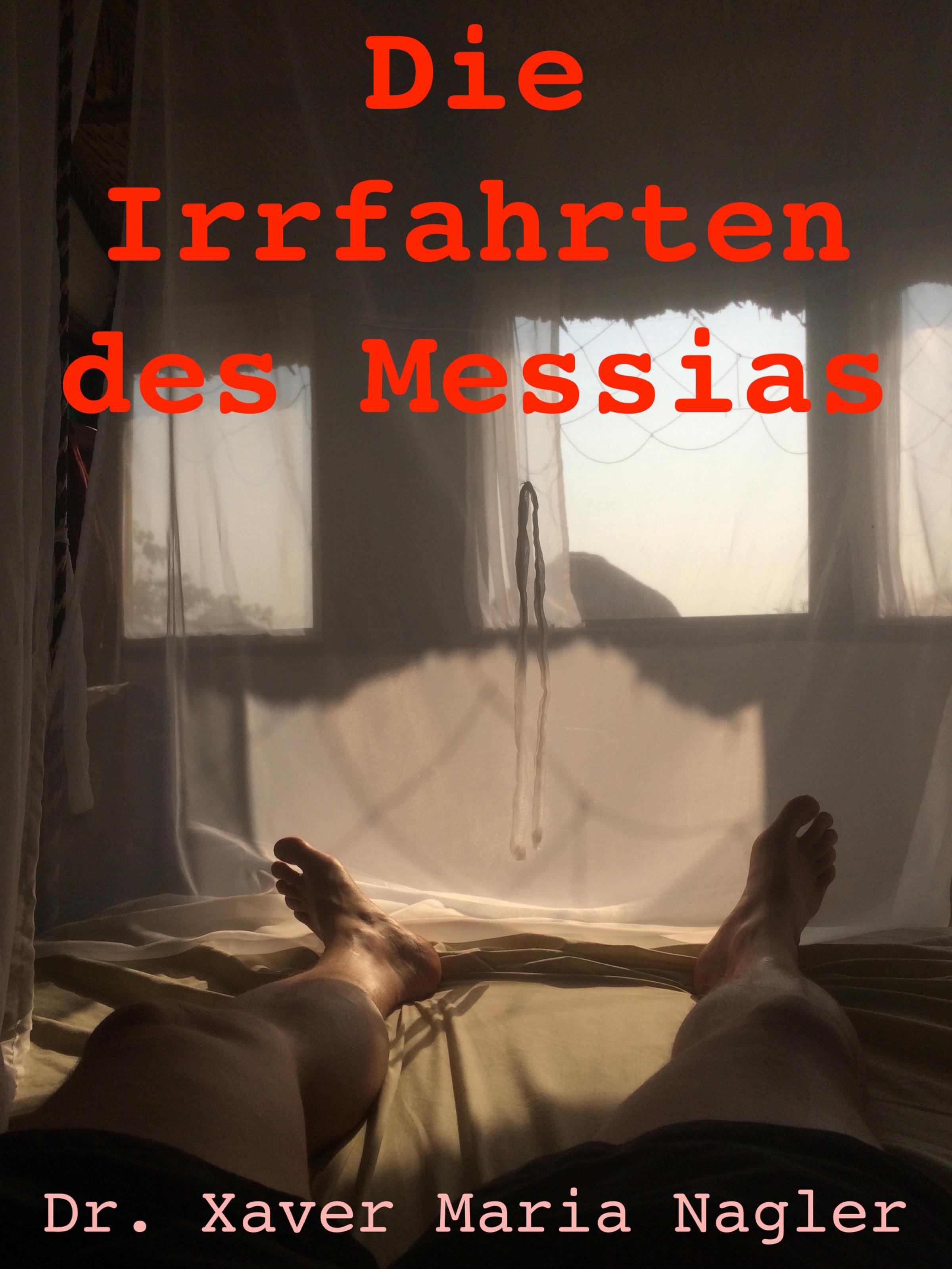 Обложка книги «Die Irrfahrten des Messias»