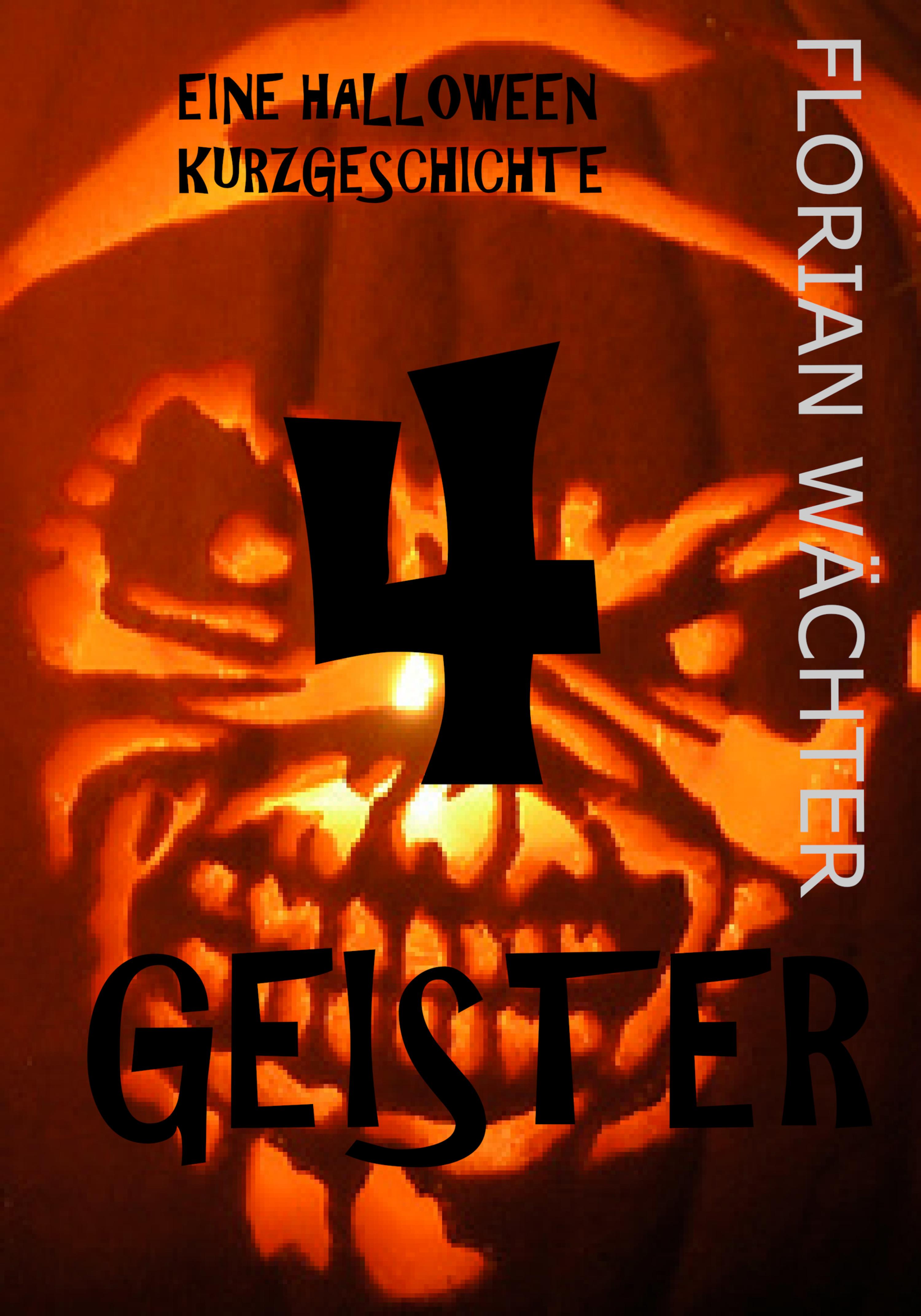 Обложка книги «4 Geister»