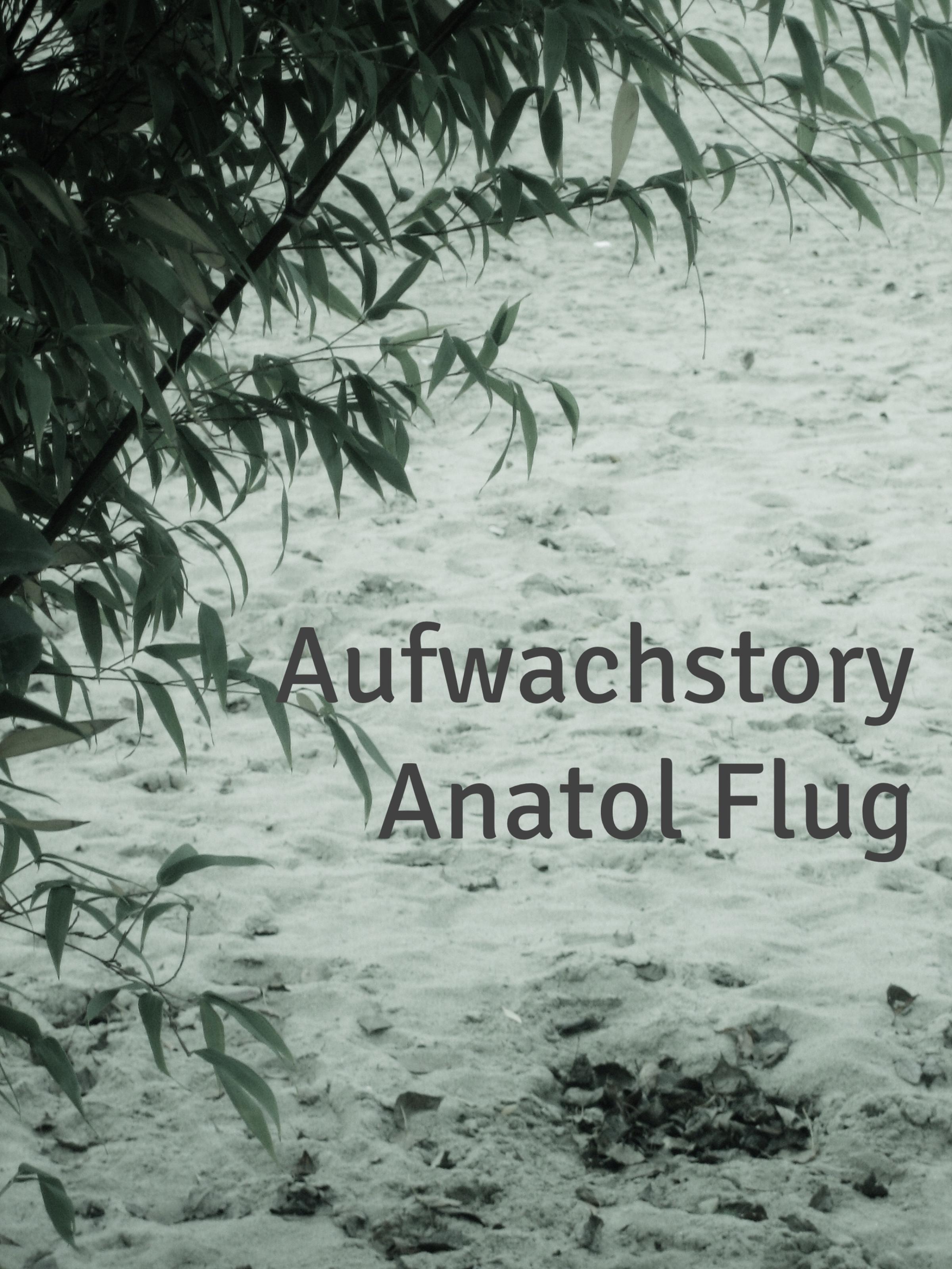 Обложка книги «Aufwachstory»