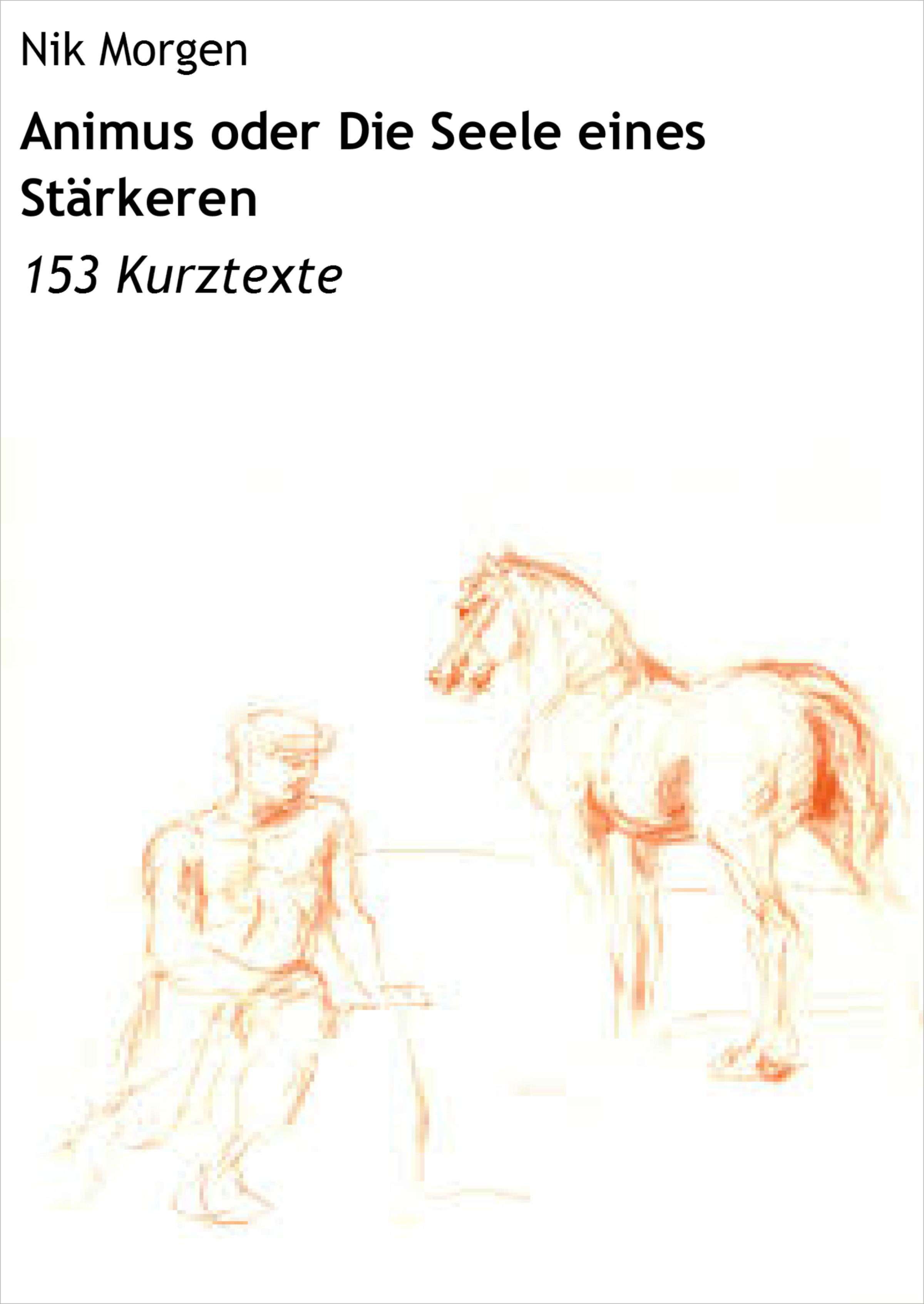 Обложка книги «Animus oder Die Seele eines Stärkeren»