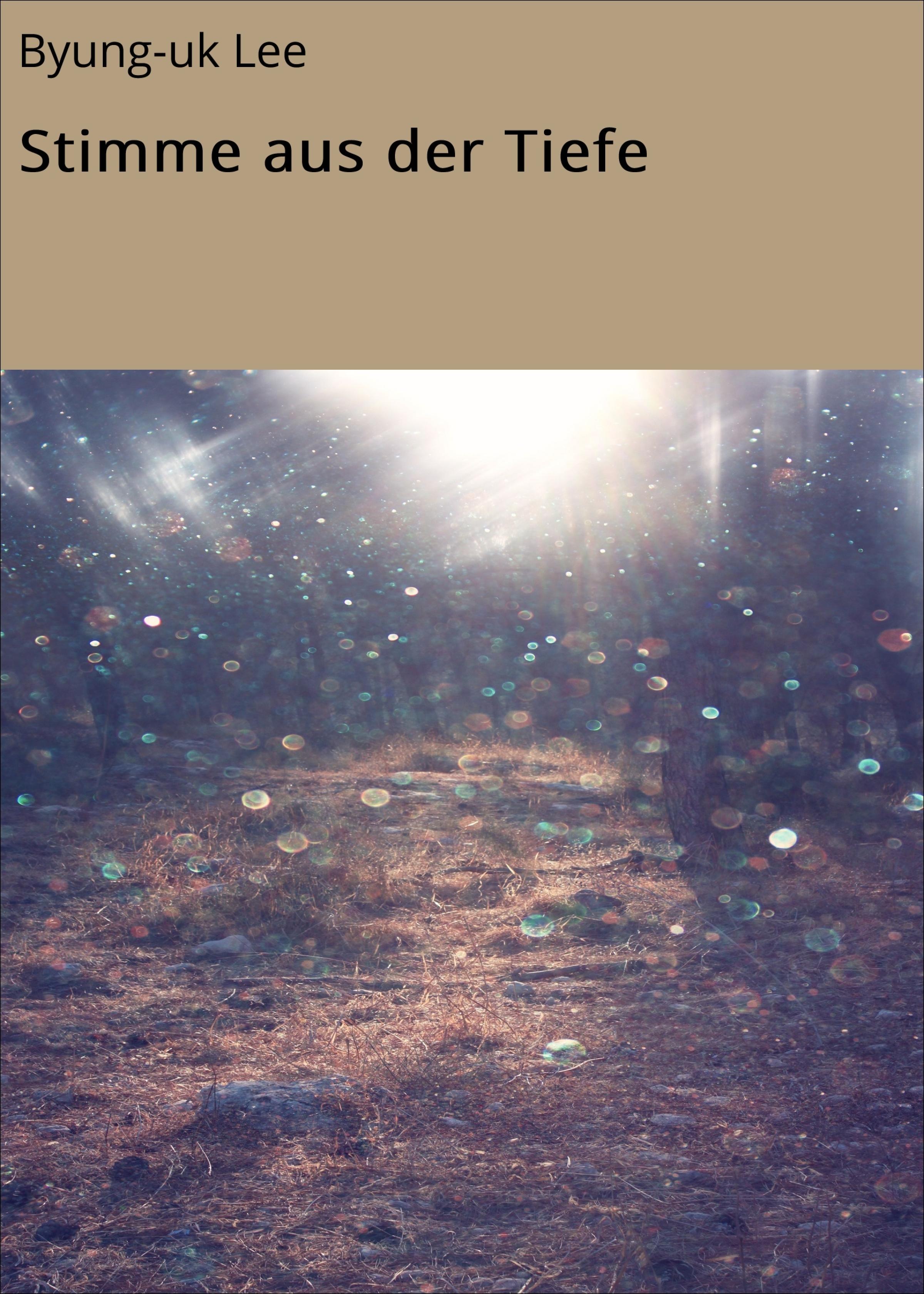 Обложка книги «Stimme aus der Tiefe»