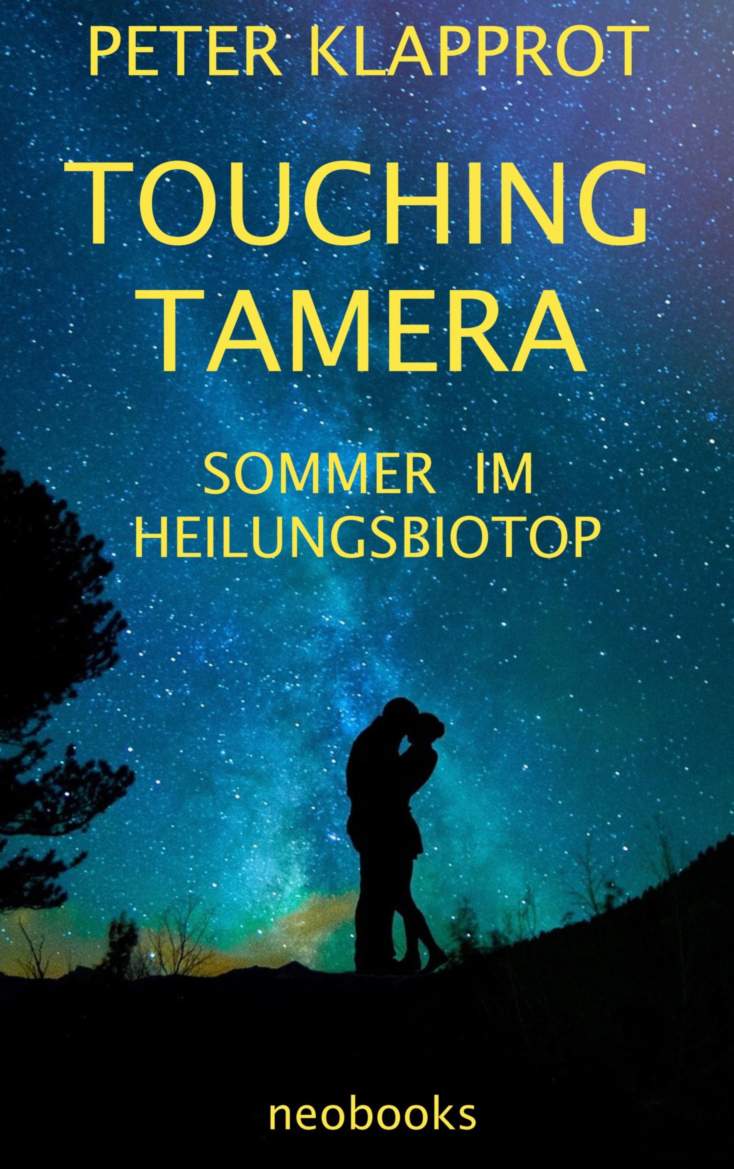 Обложка книги «Touching Tamera»