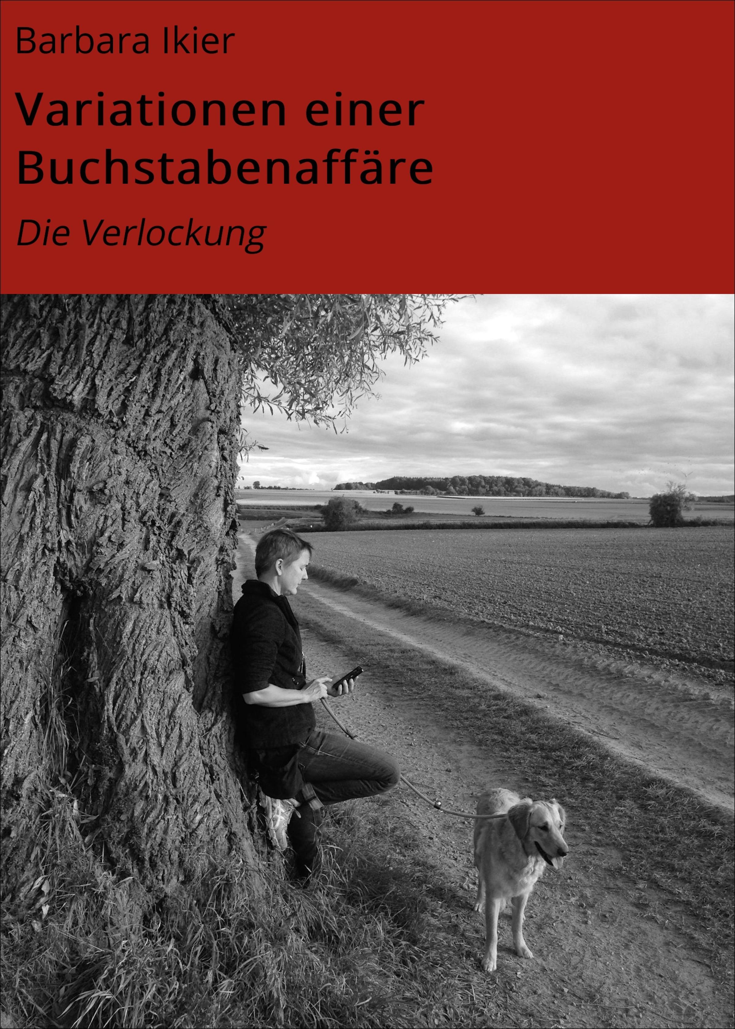 Обложка книги «Variationen einer Buchstabenaffäre»