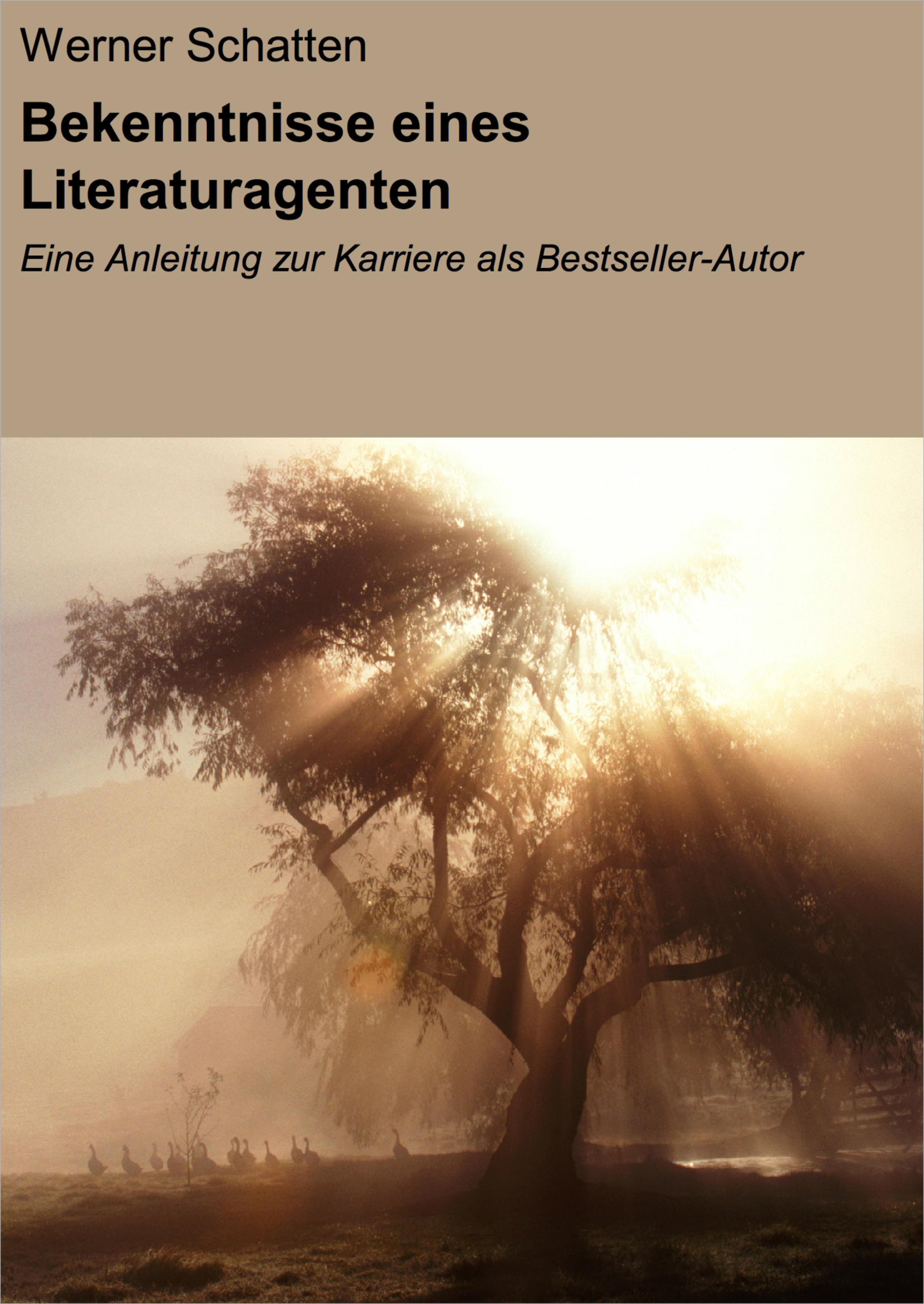 Обложка книги «Bekenntnisse eines Literaturagenten»