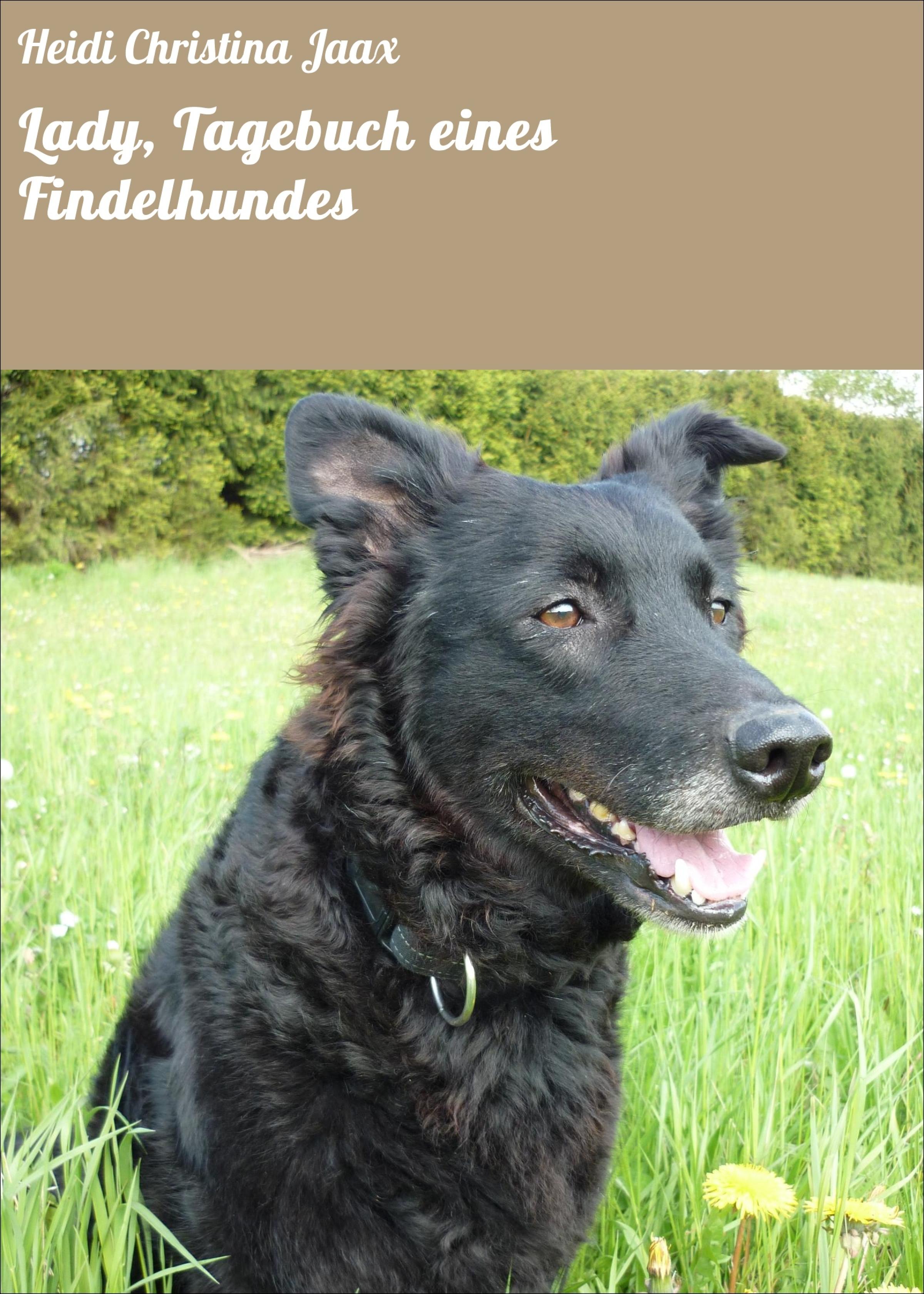 Обложка книги «Lady, Tagebuch eines Findelhundes»