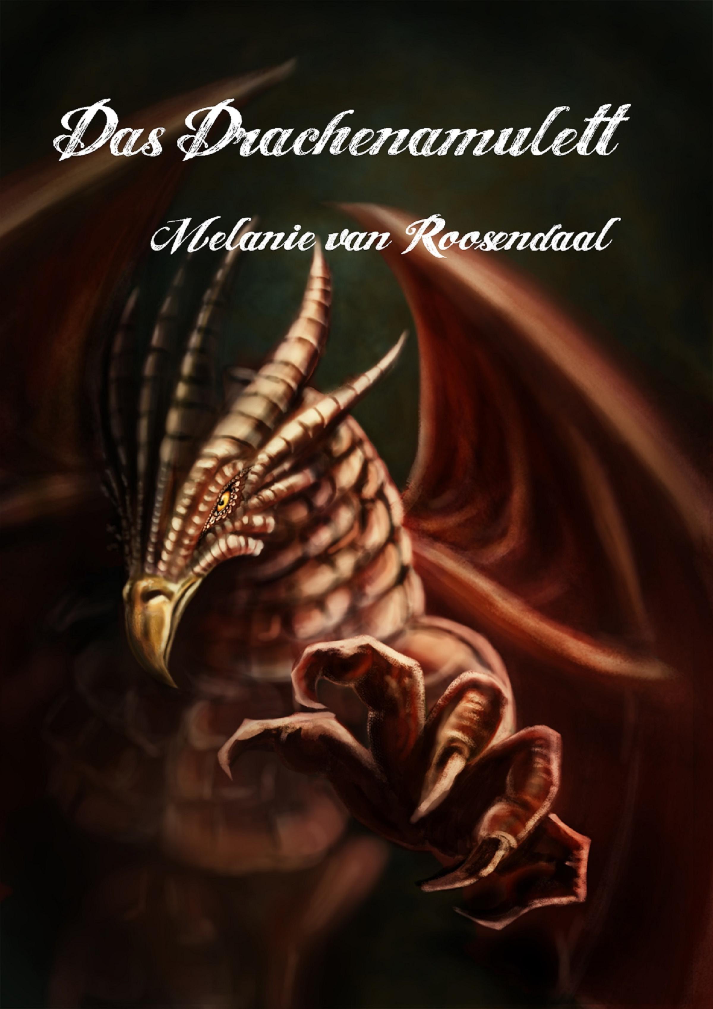 Обложка книги «Das Drachenamulett»
