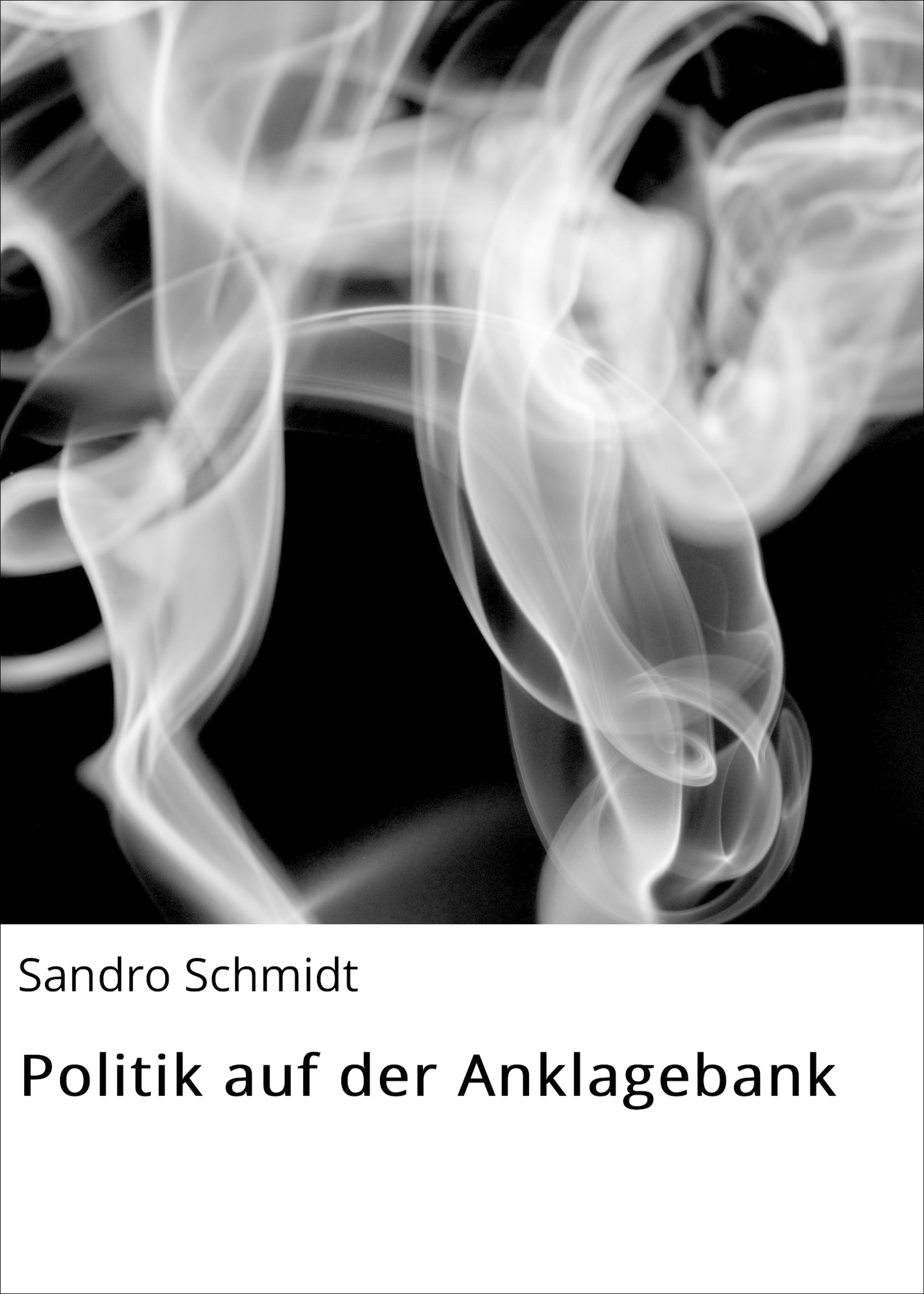 Обложка книги «Politik auf der Anklagebank»