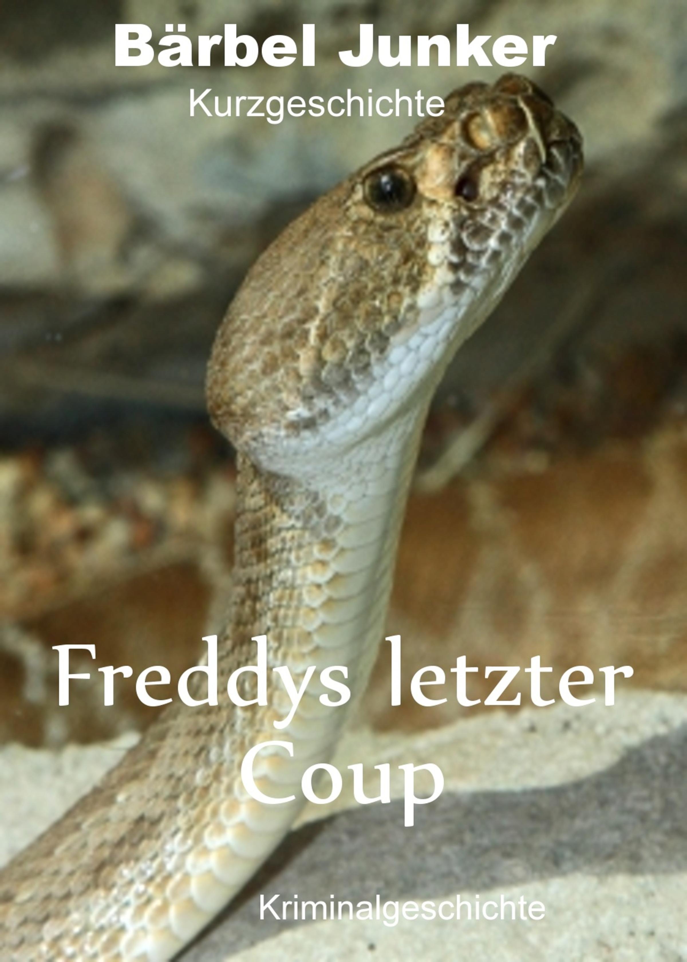 Обложка книги «Freddys letzter Coup»