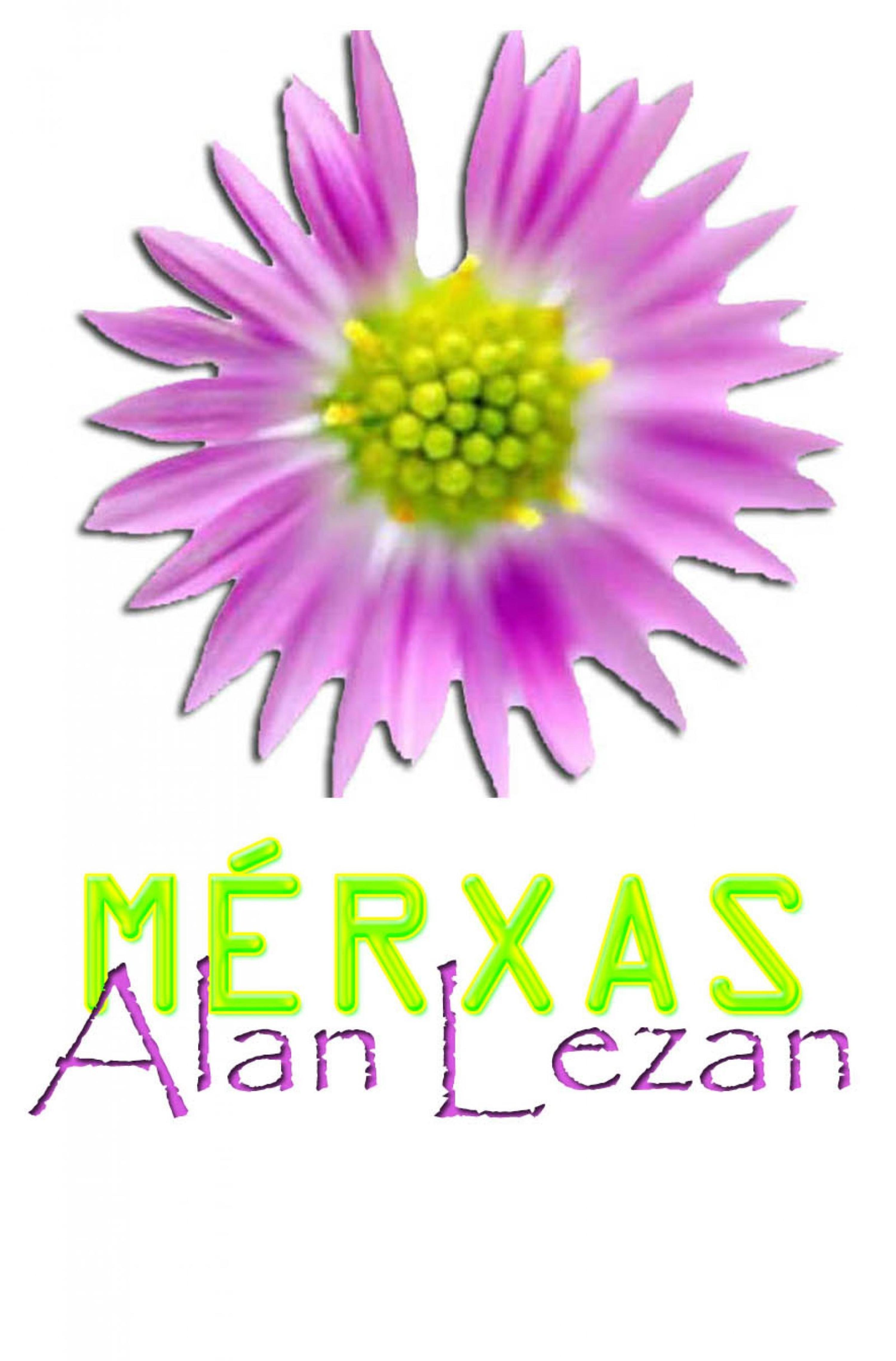 Обложка книги «Merxas»