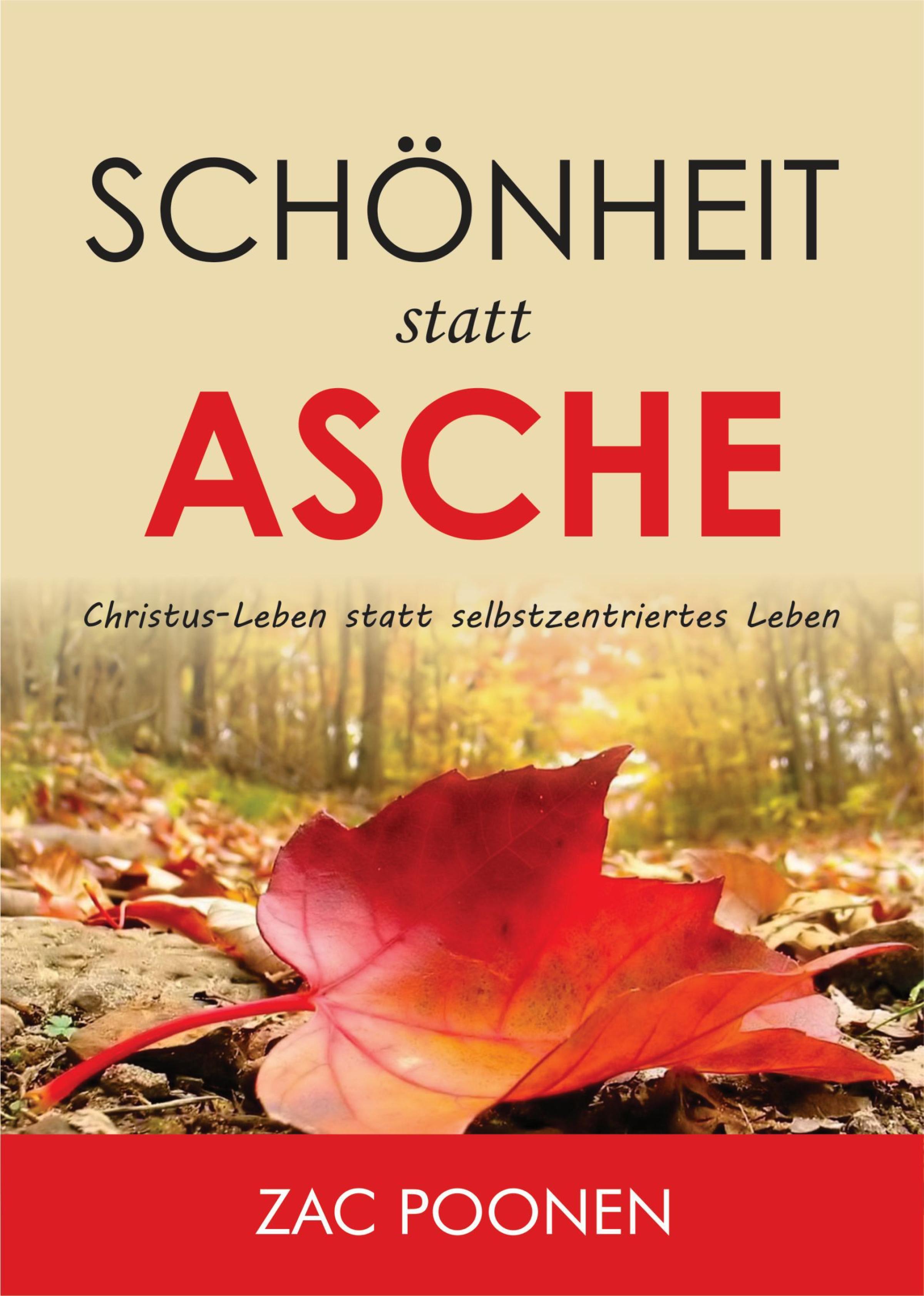 Обложка книги «Schönheit statt Asche»