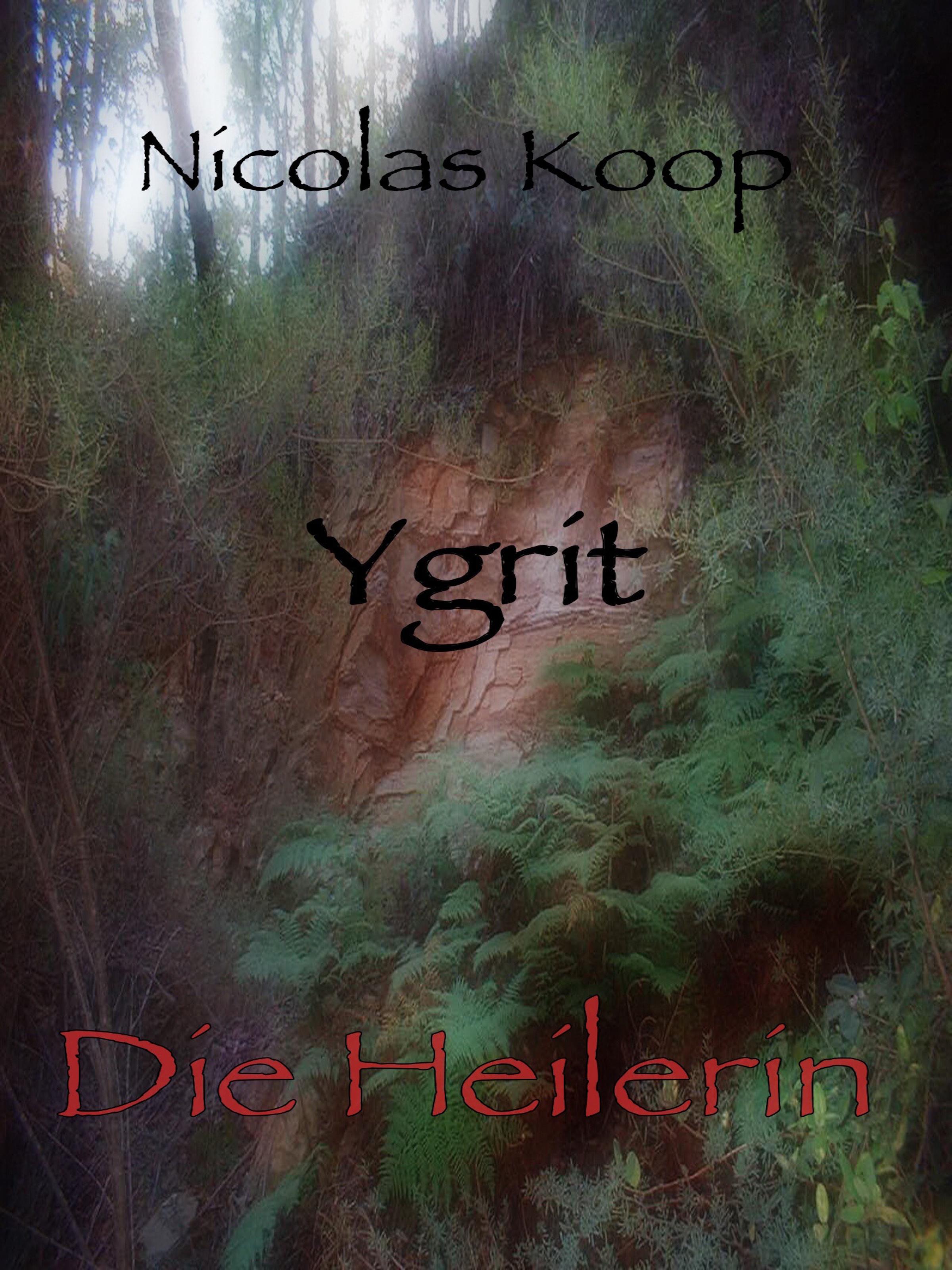 Обложка книги «Ygrit»