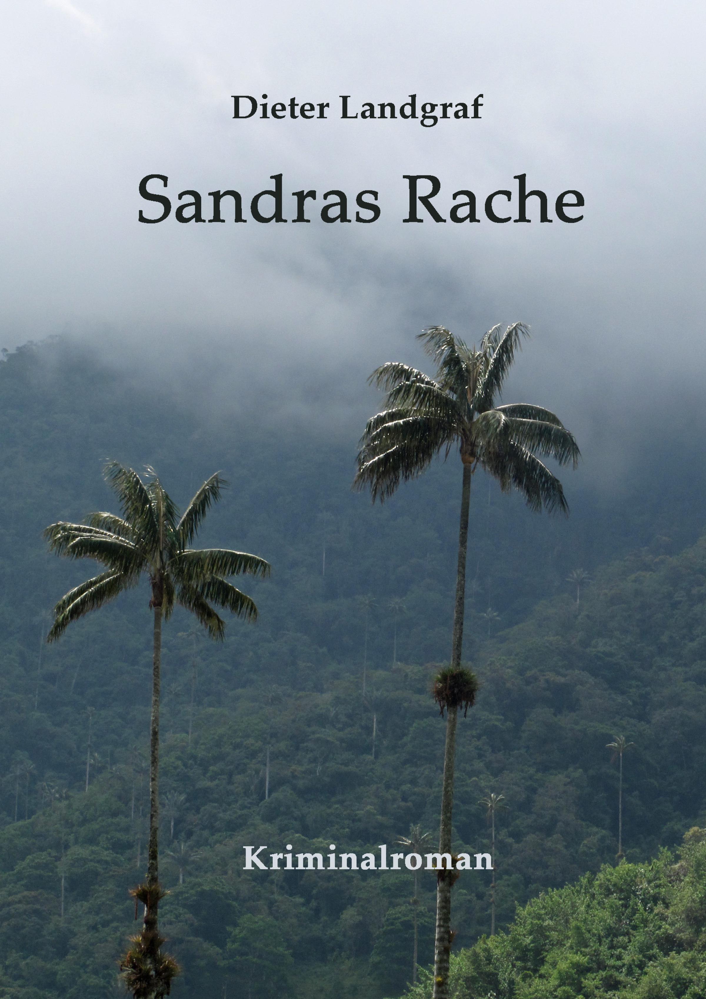 Обложка книги «Sandras Rache»
