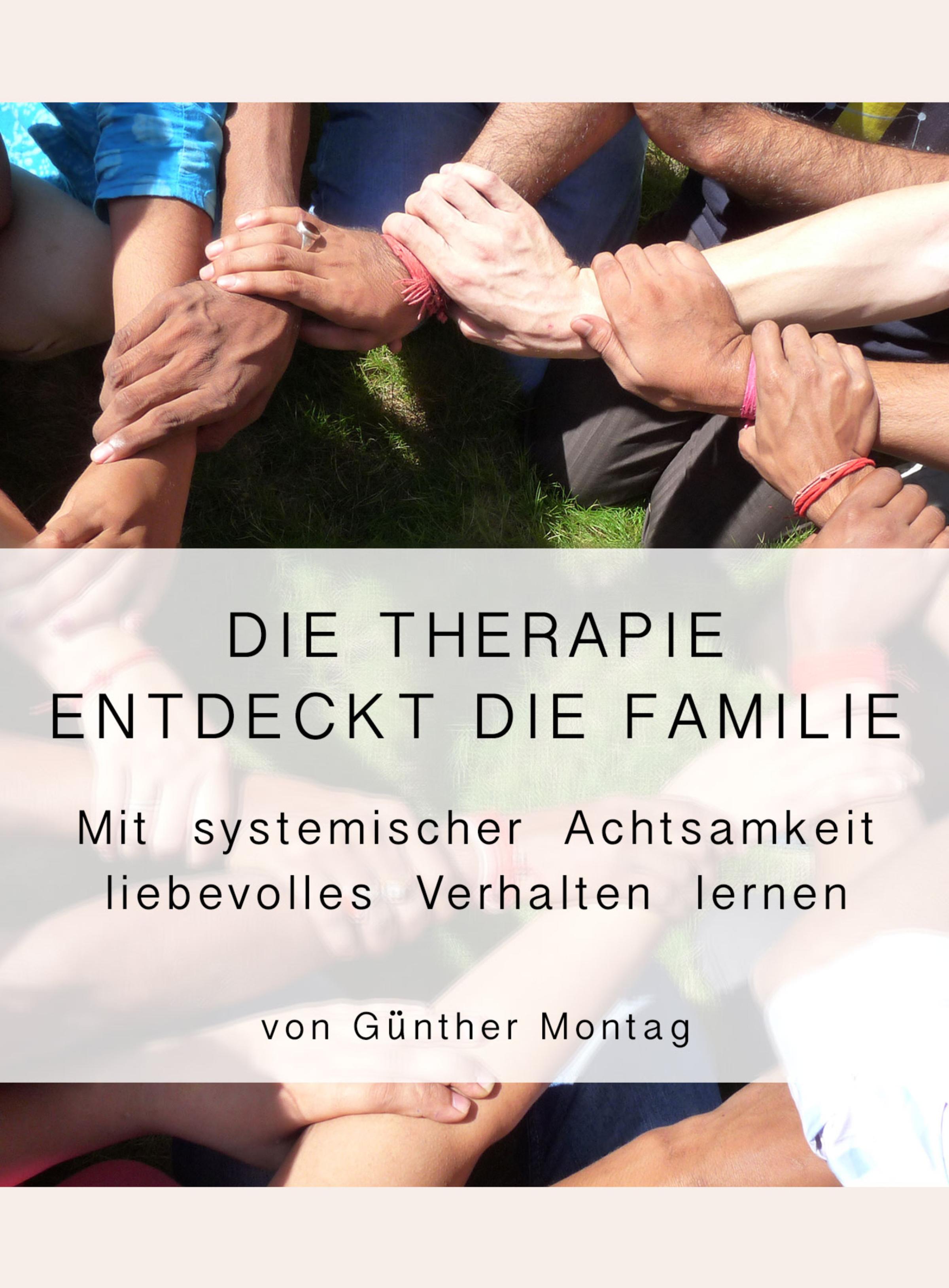 Обложка книги «Die Therapie entdeckt die Familie»