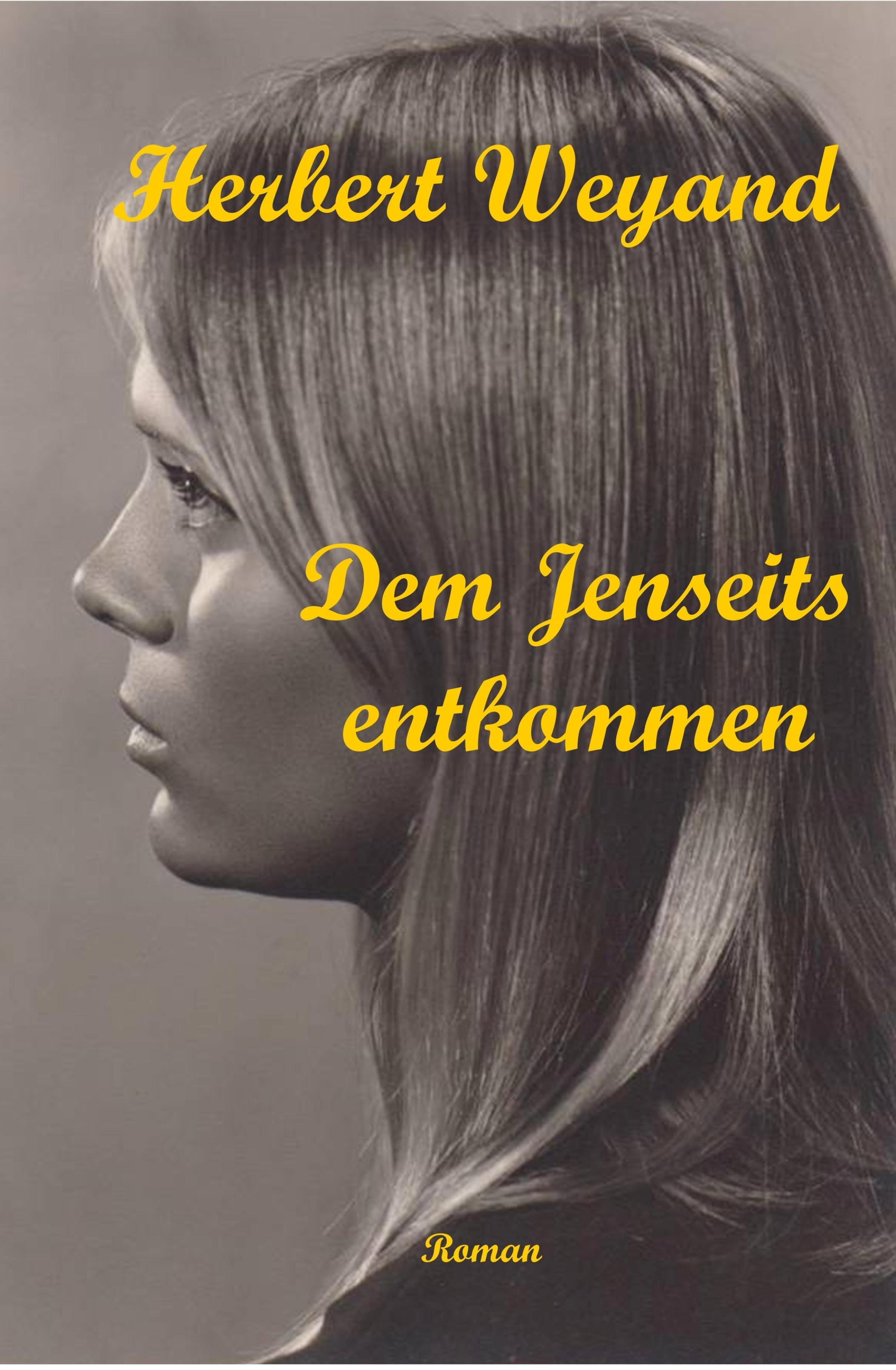 Обложка книги «Dem Jenseits entkommen»