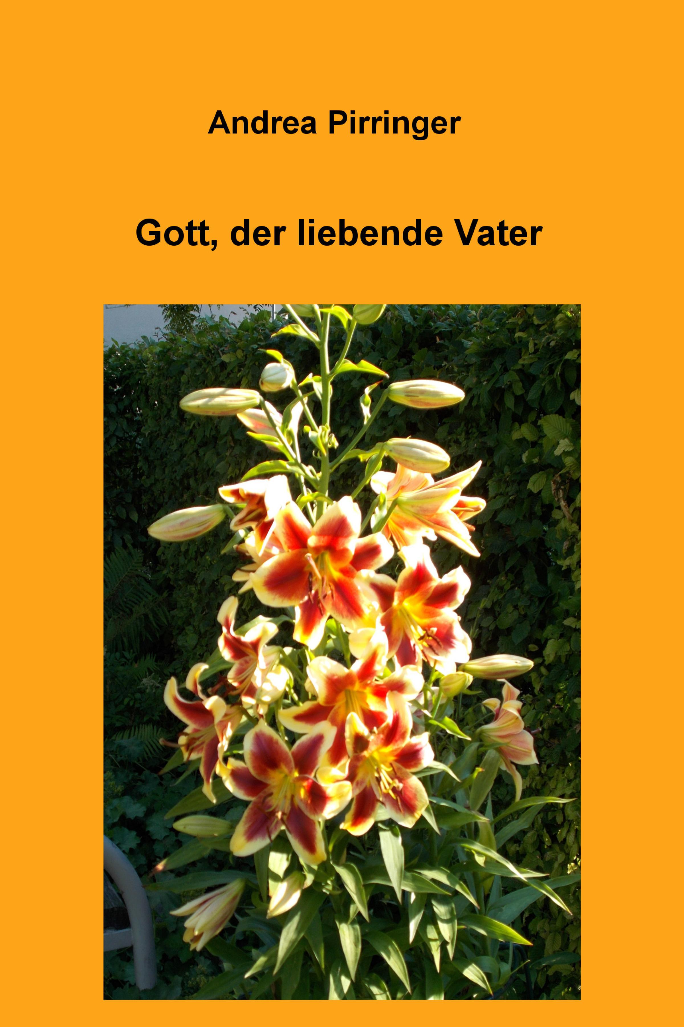 Обложка книги «Gott, der liebende Vater»