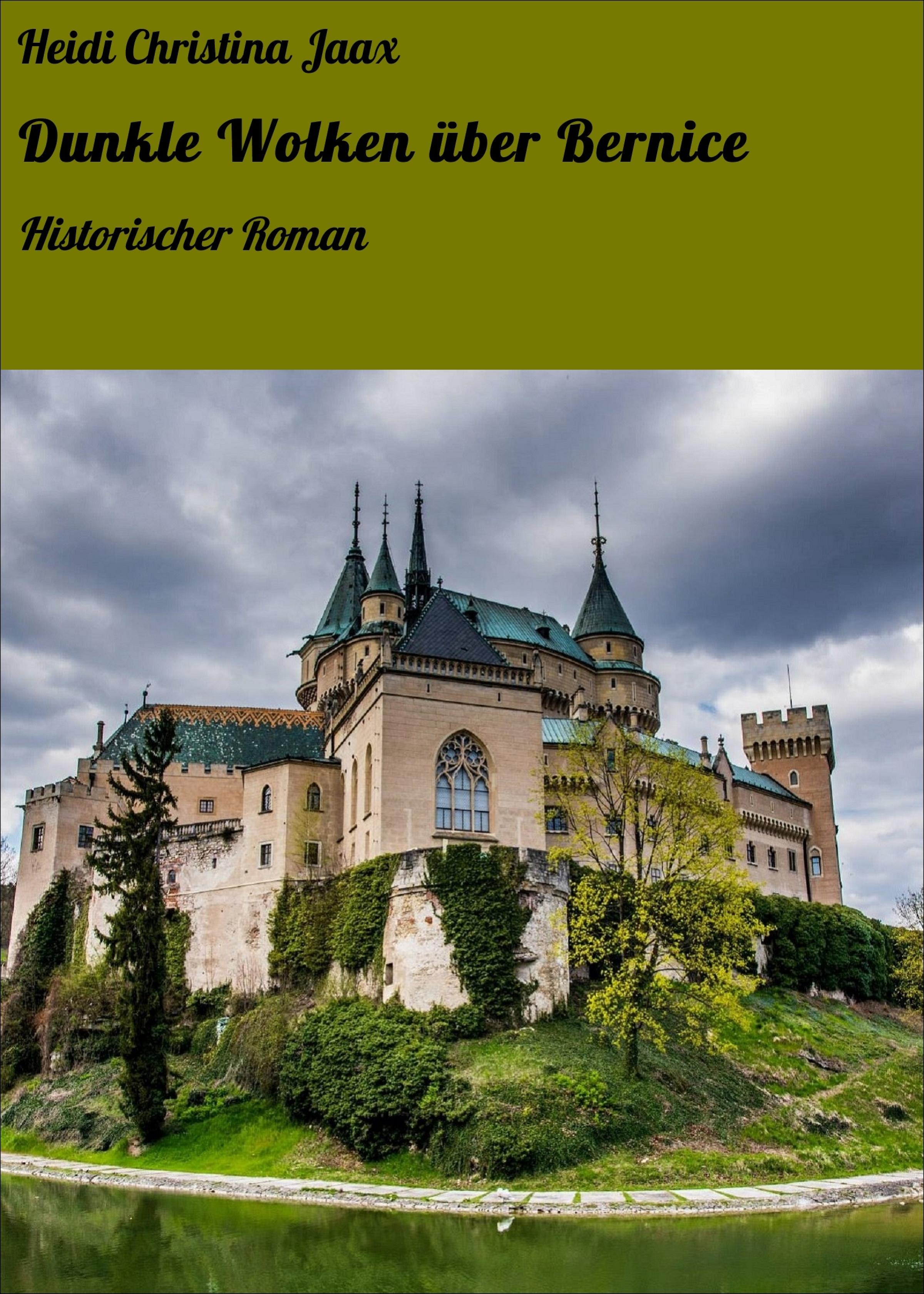 Обложка книги «Dunkle Wolken über Bernice»