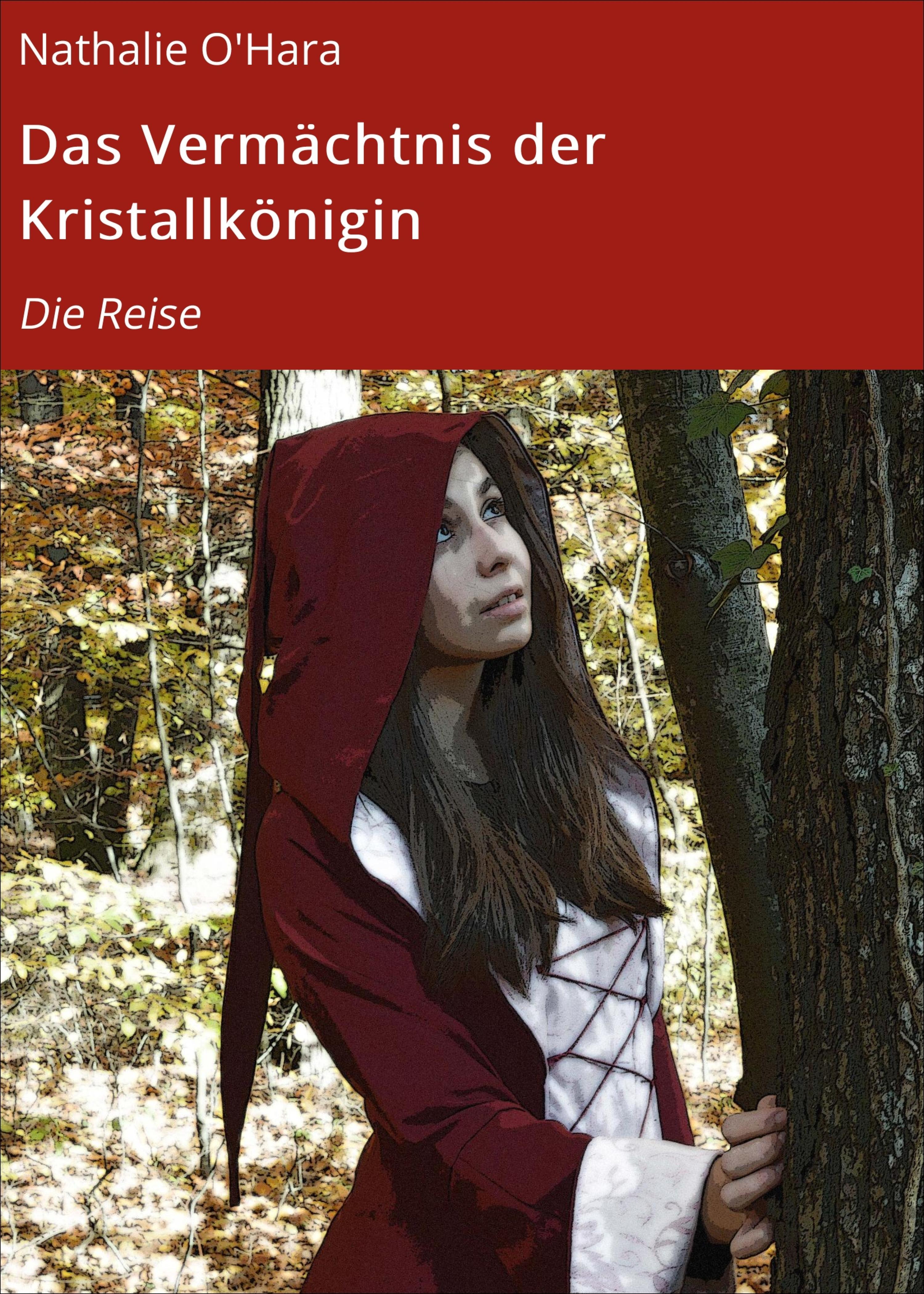 Обложка книги «Das Vermächtnis der Kristallkönigin»