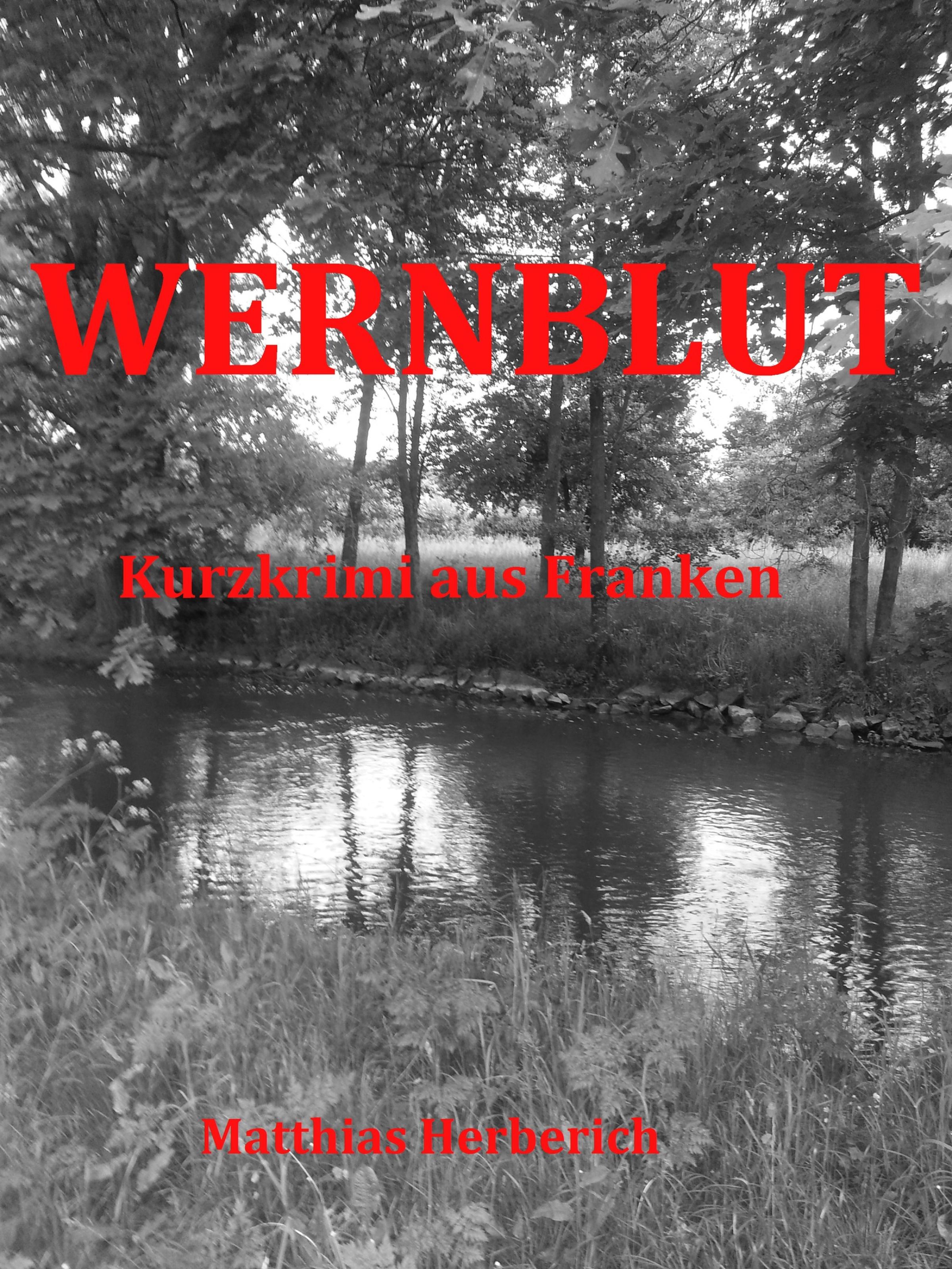 Обложка книги «Wernblut»