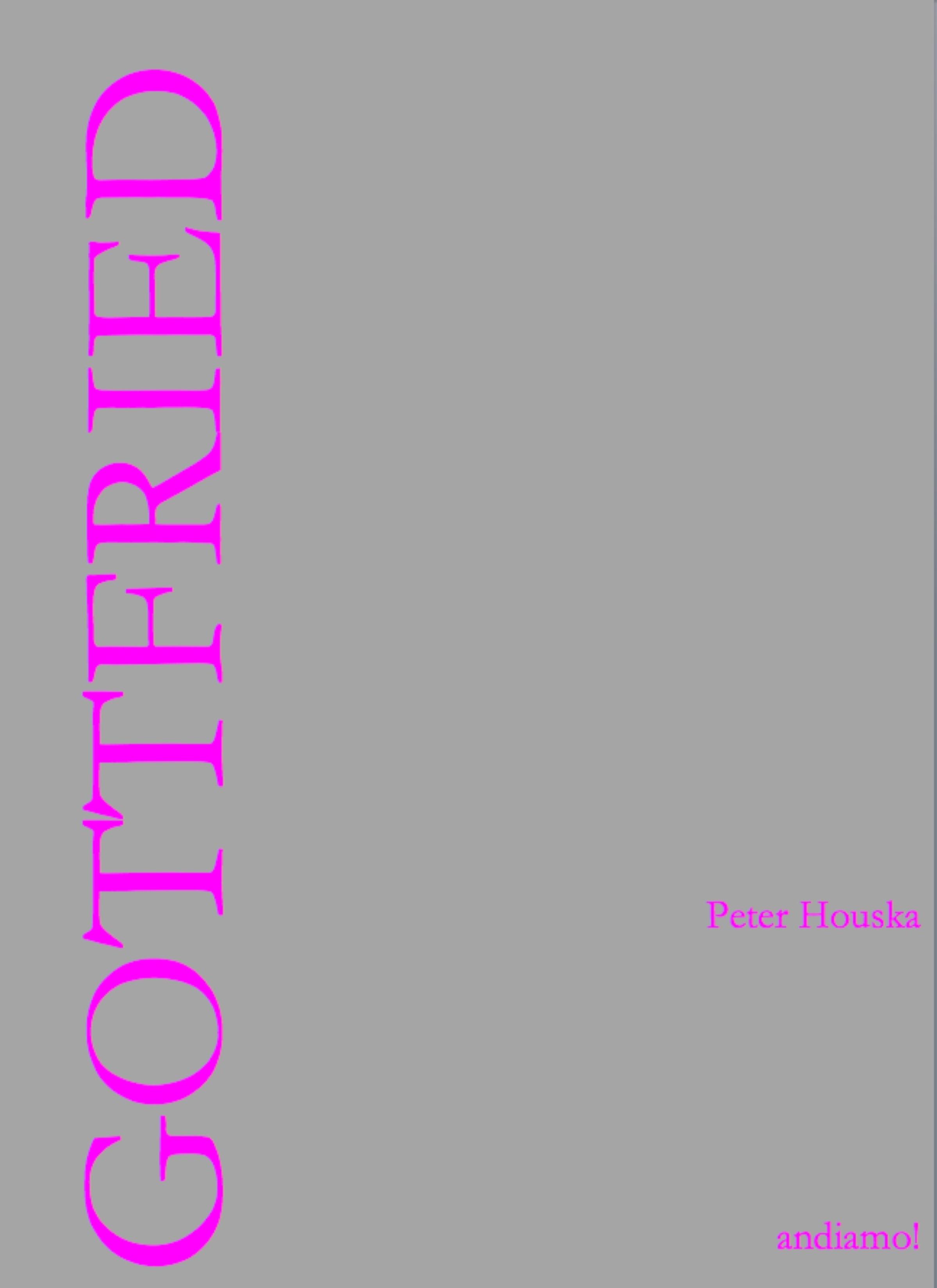 Обложка книги «Gottfried»