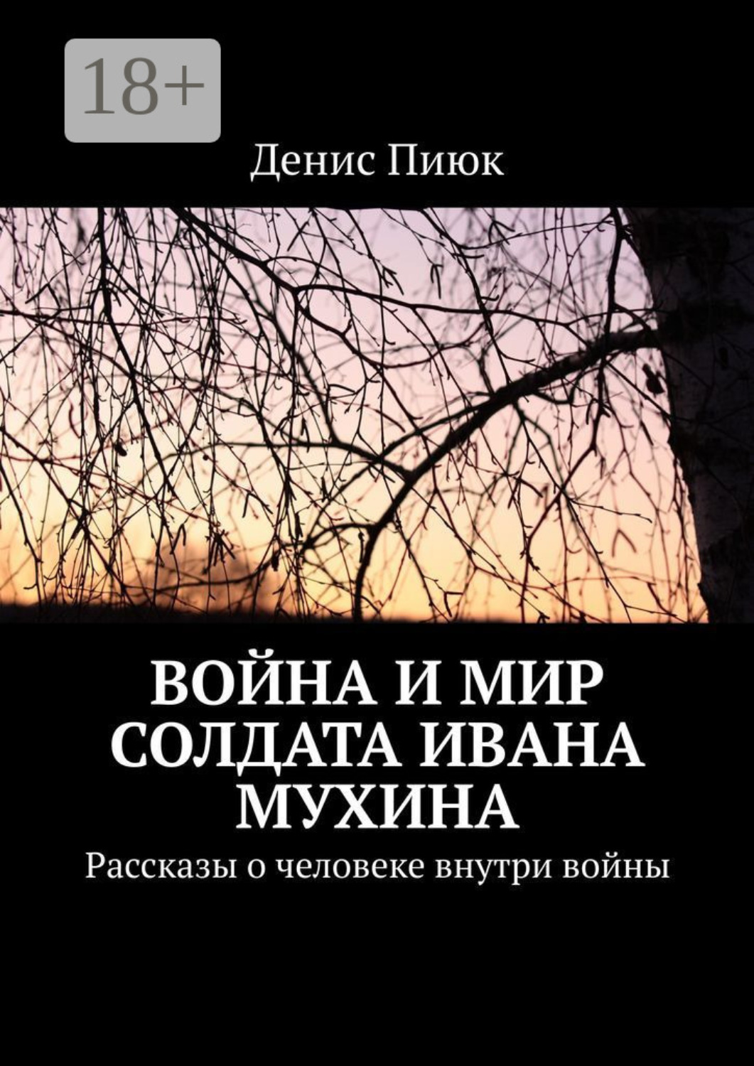 Обложка книги «Война и мир солдата Ивана Мухина. Рассказы о человеке внутри войны»