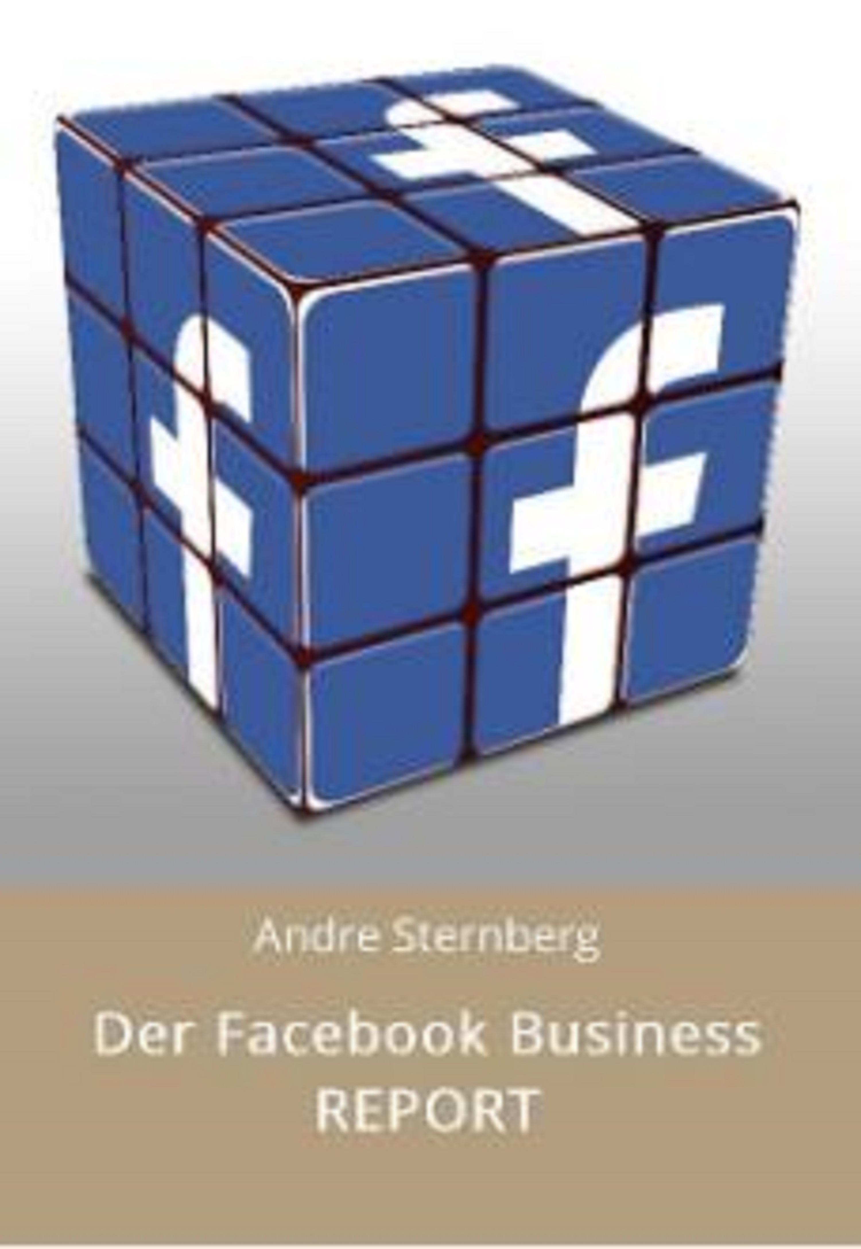 Обложка книги «Der Facebook Business REPORT»