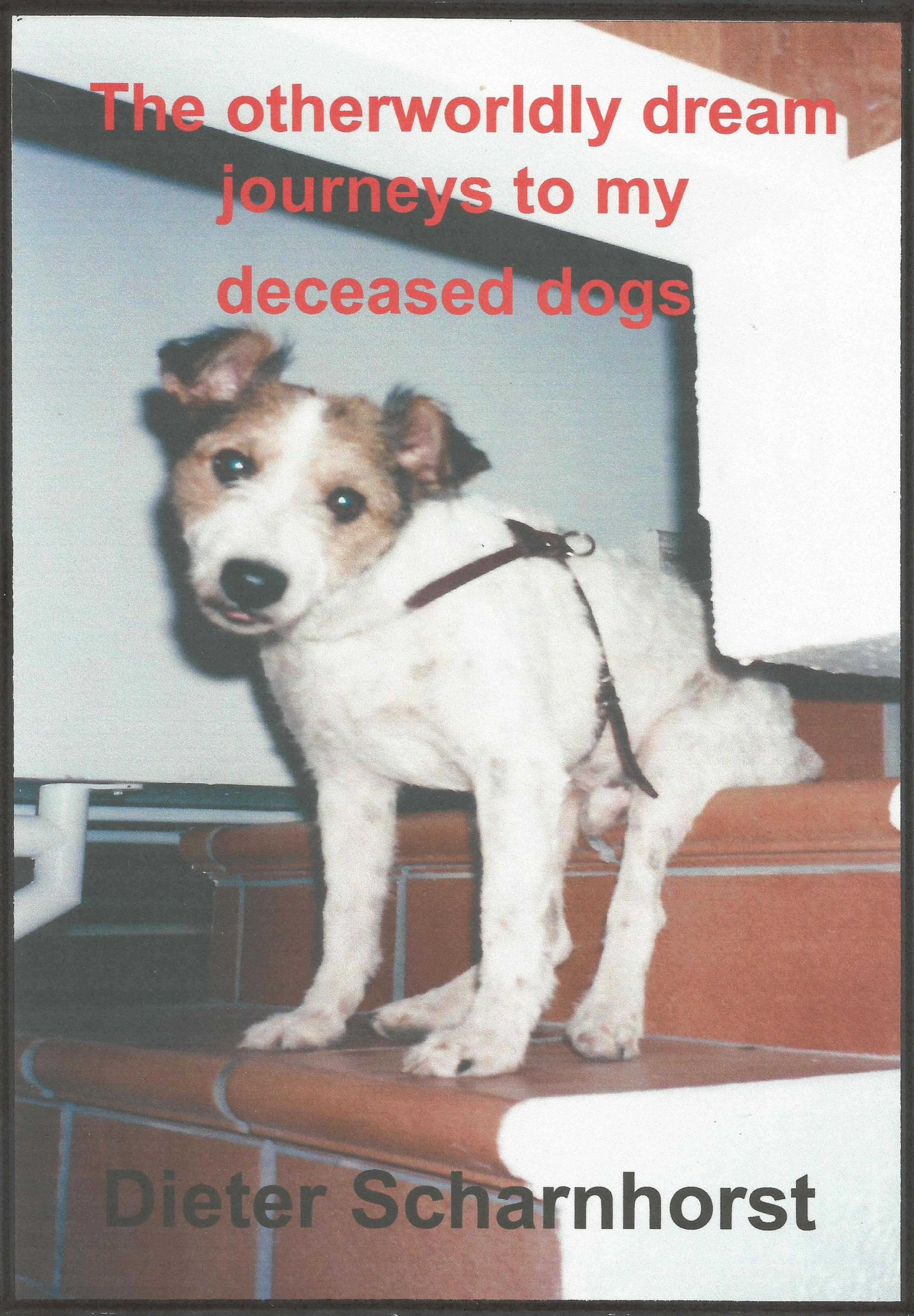 Обложка книги «The otherworldly dream journeys to my deceased dogs»