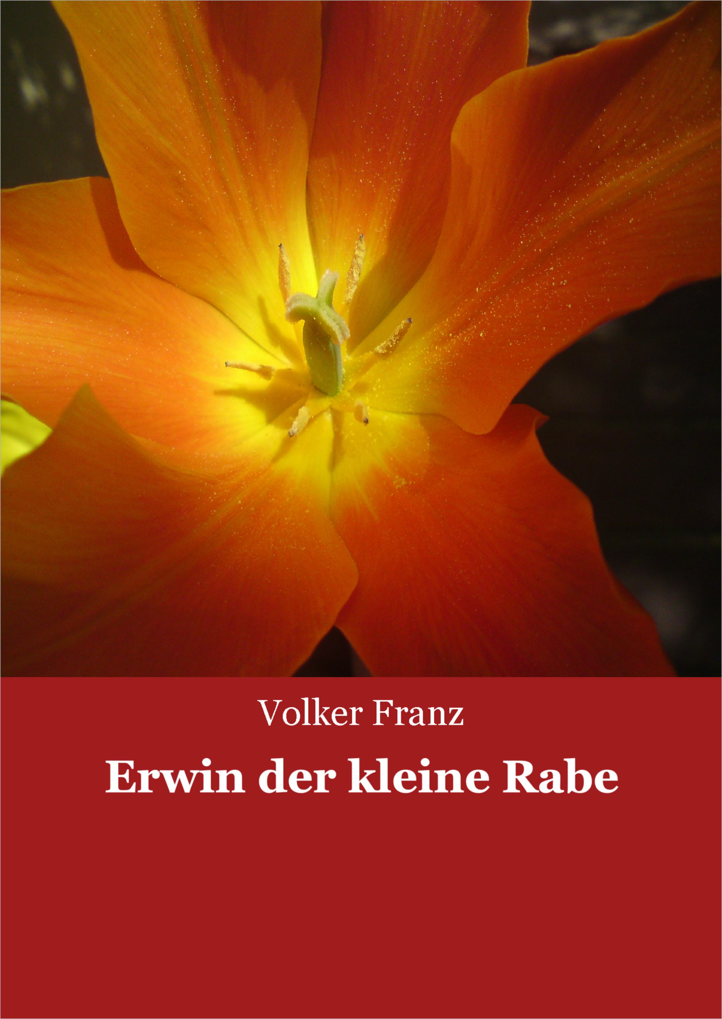 Обложка книги «Erwin der kleine Rabe»