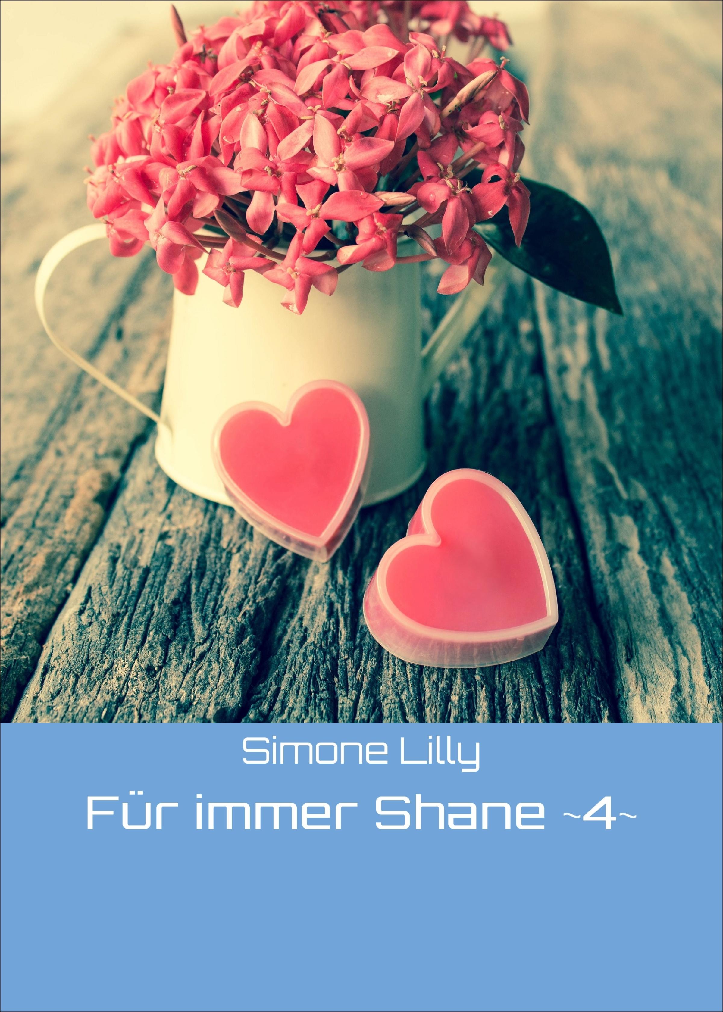 Обложка книги «Für immer Shane ~4~»