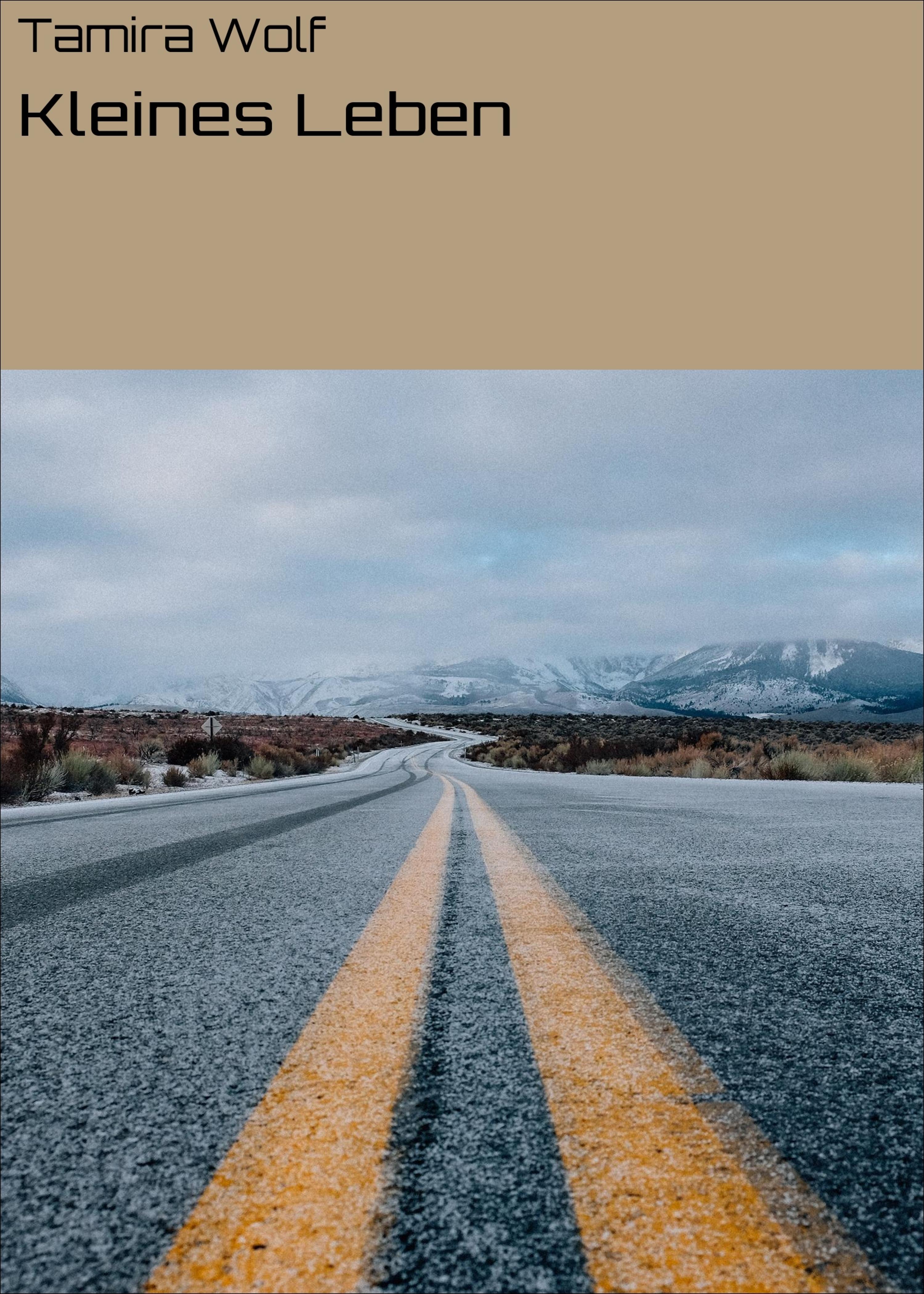 Обложка книги «Kleines Leben»