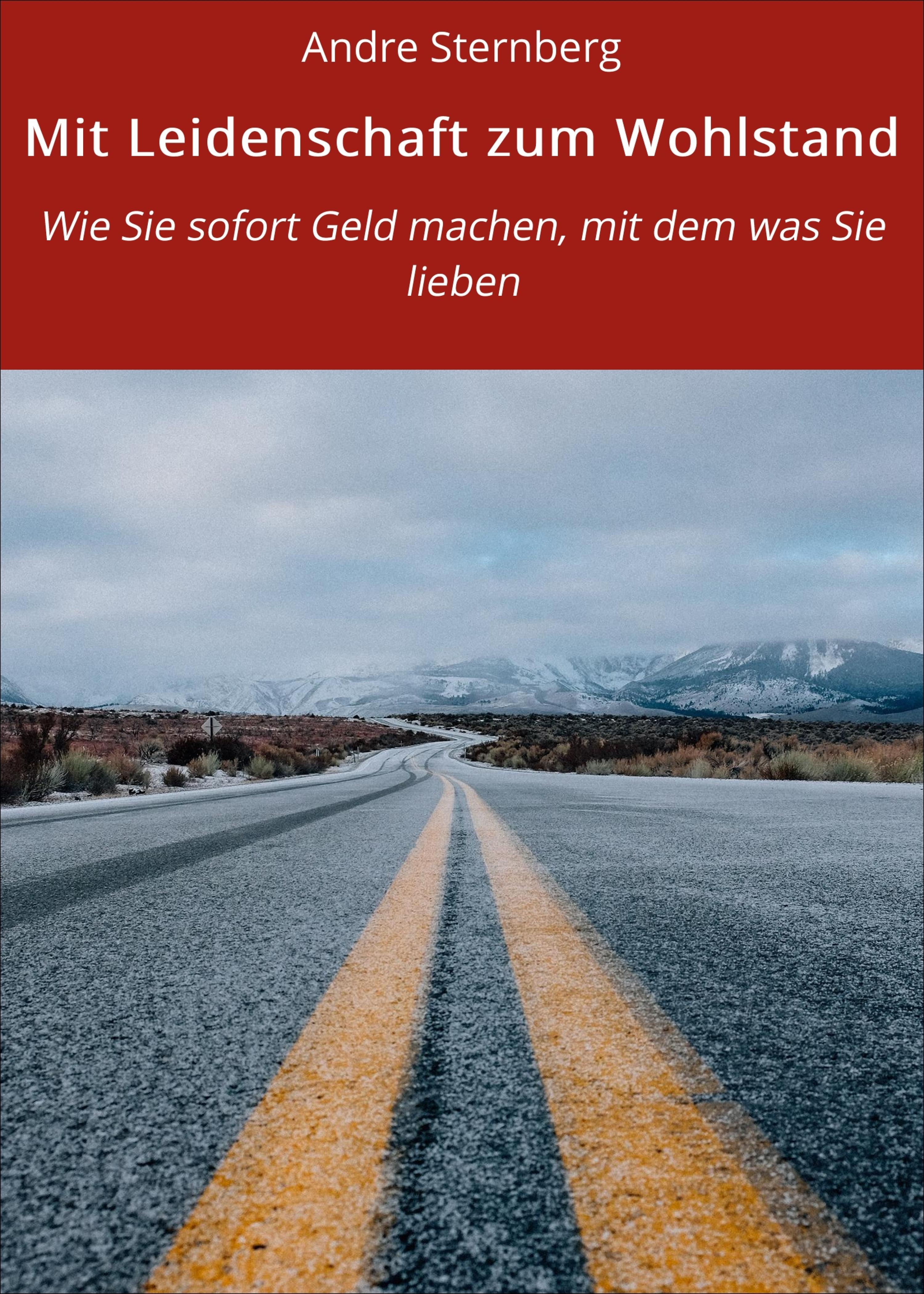Обложка книги «Mit Leidenschaft zum Wohlstand»