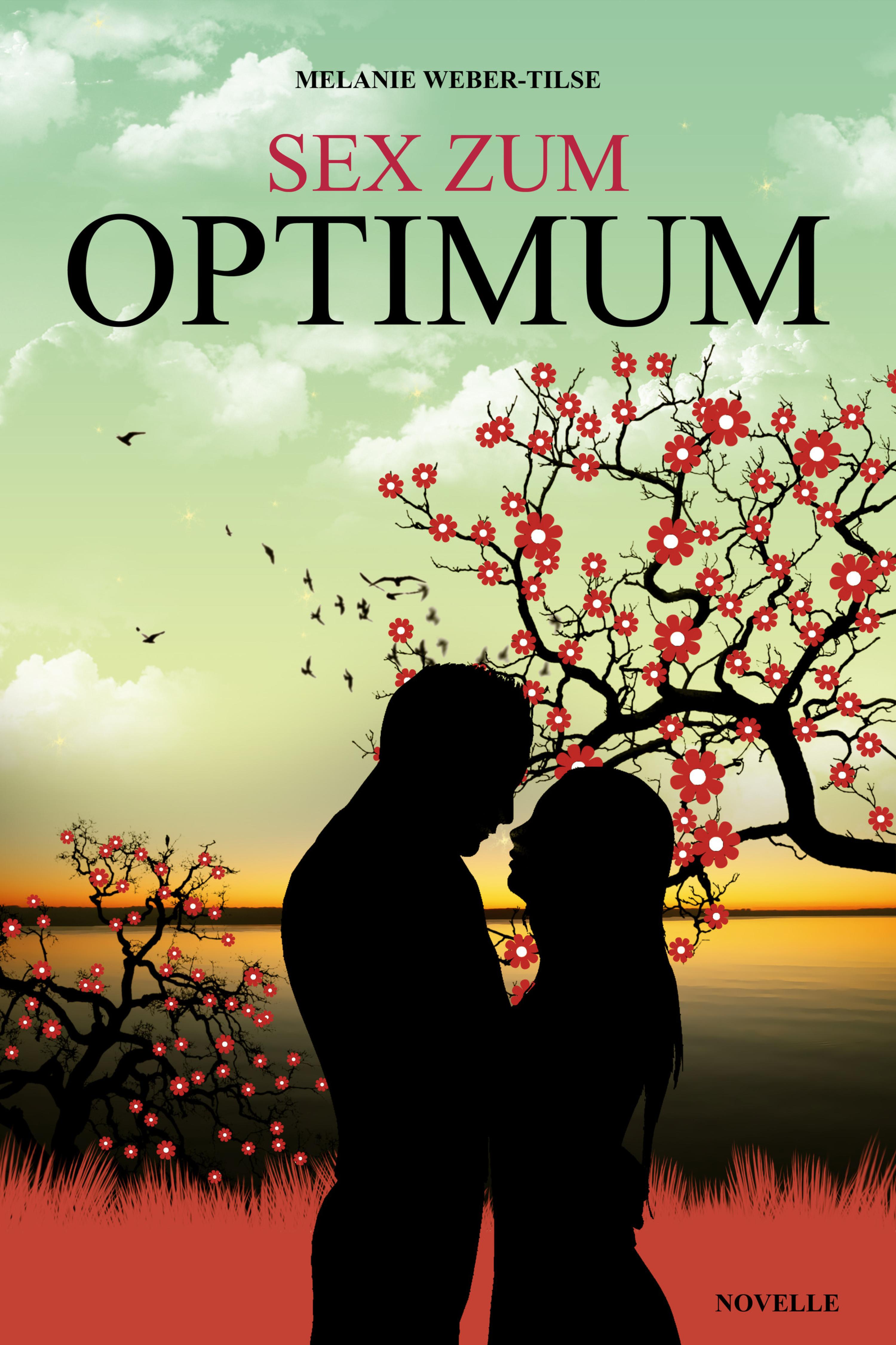 Обложка книги «Sex zum Optimum»