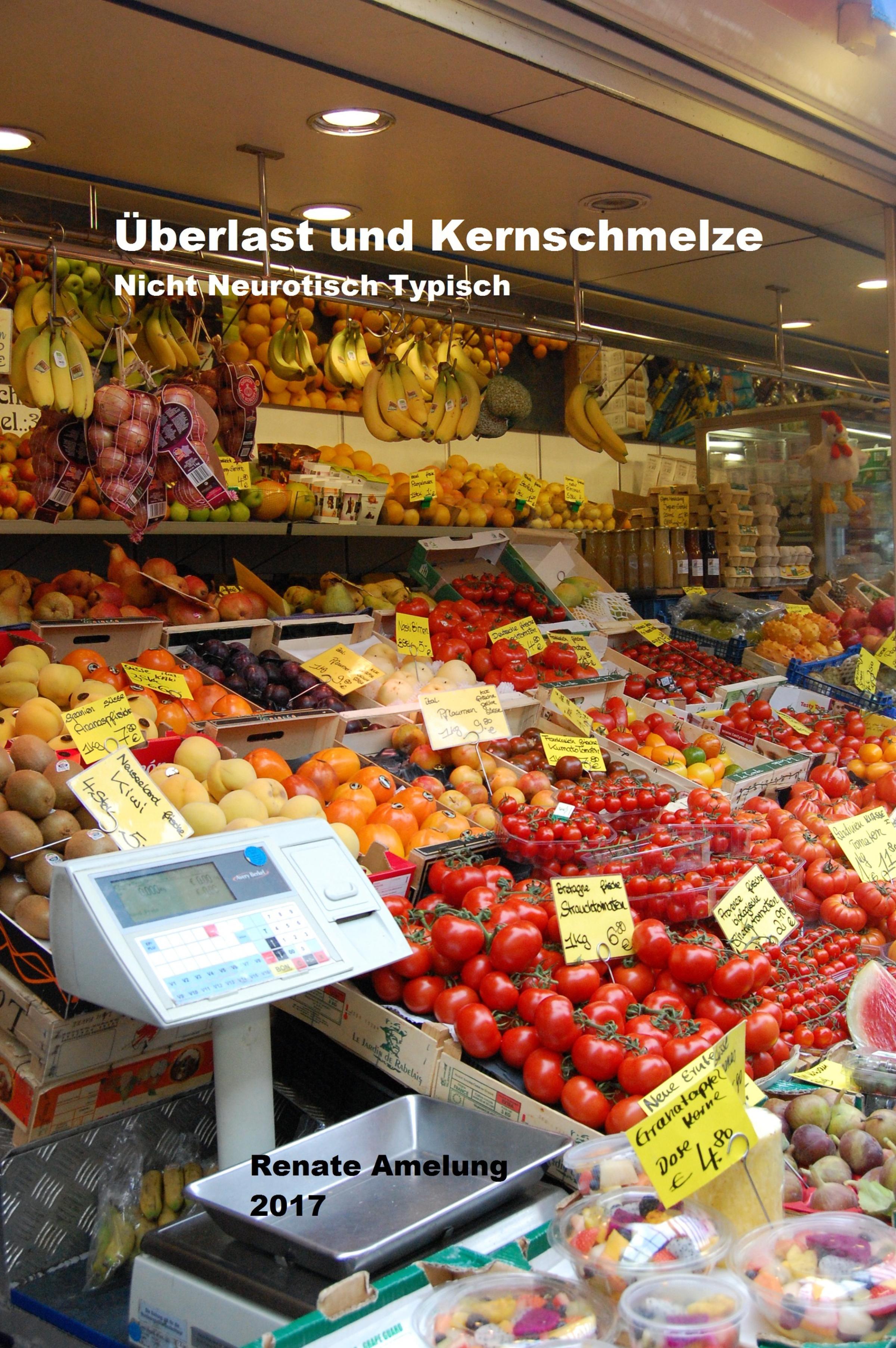 Обложка книги «Überlast und Kernschmelze»