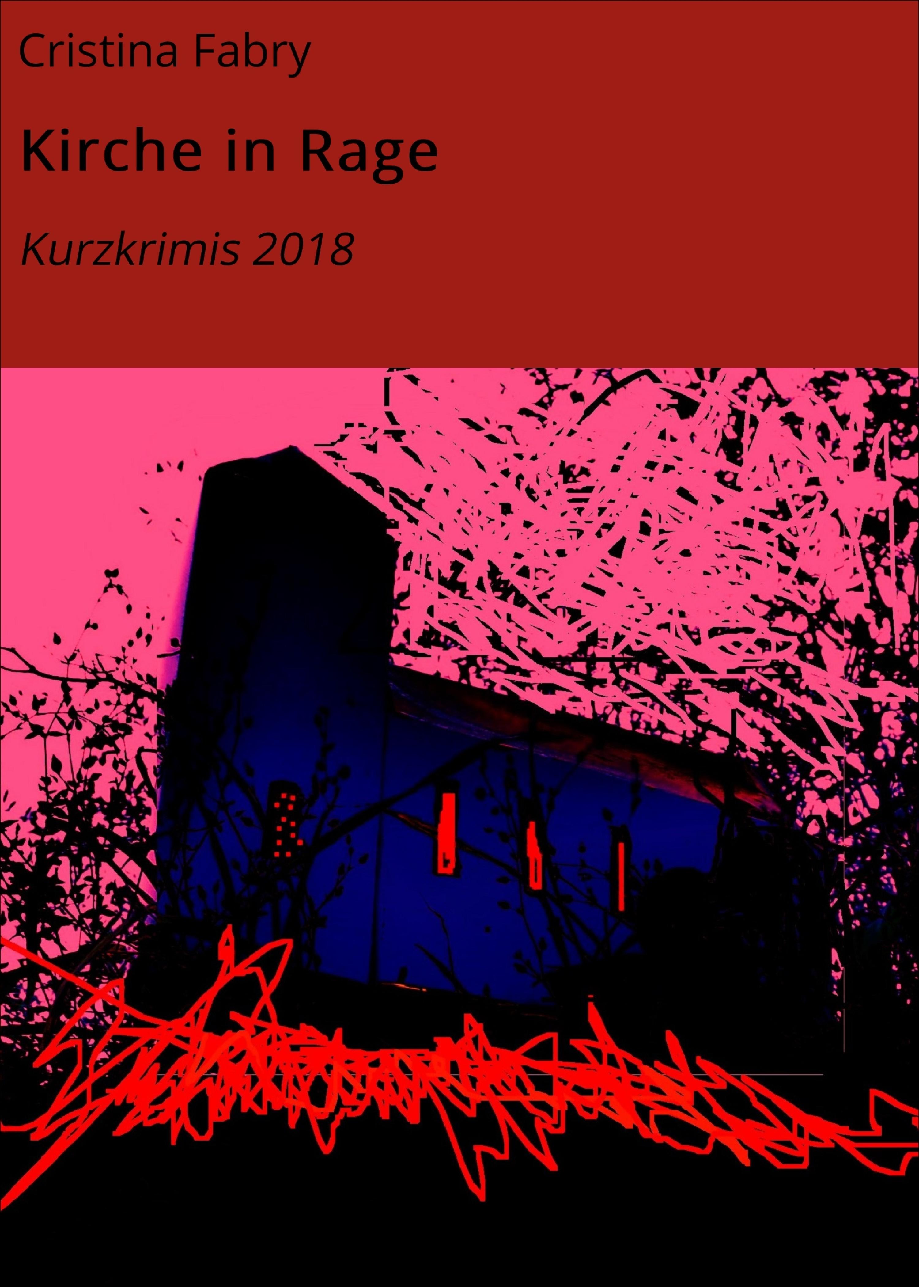 Обложка книги «Kirche in Rage»