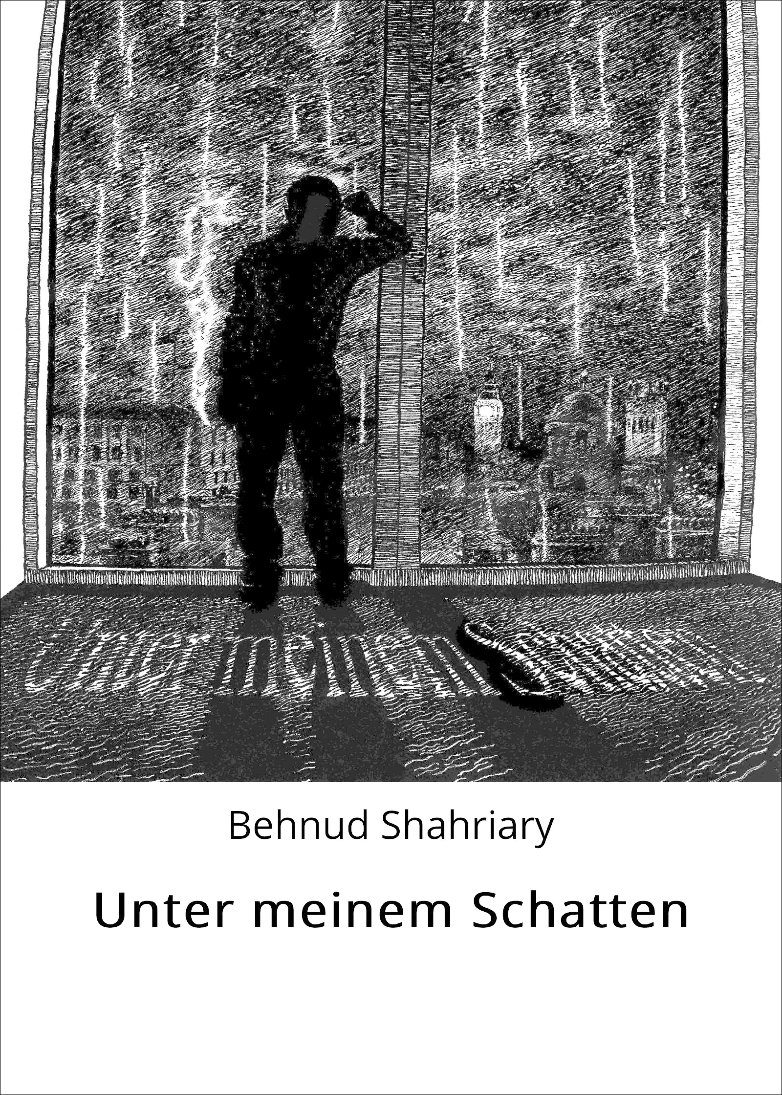 Обложка книги «Unter meinem Schatten»