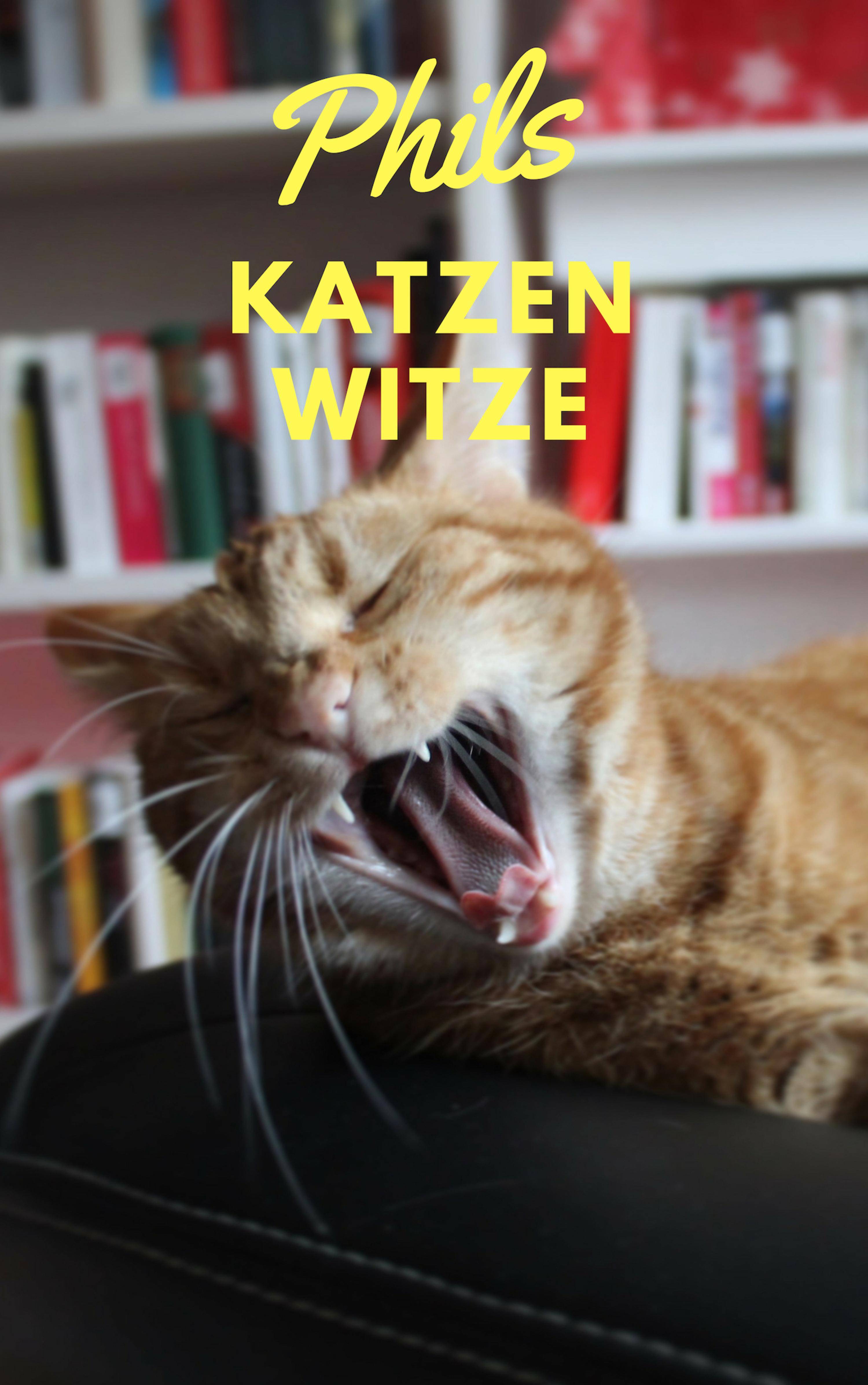 Обложка книги «52 - süße Katzenwitze»