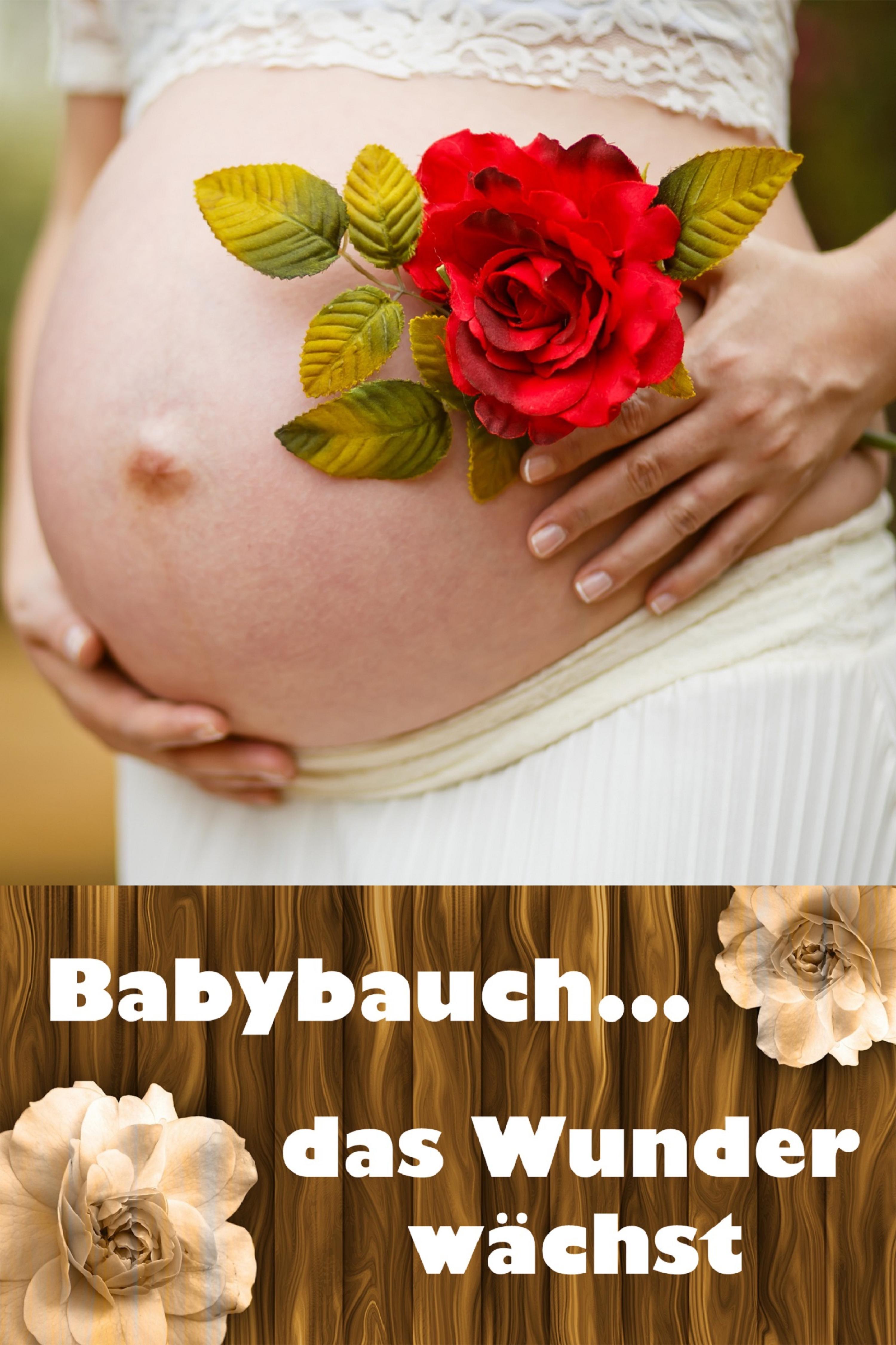 Обложка книги «Babybauch...das Wunder wächst»