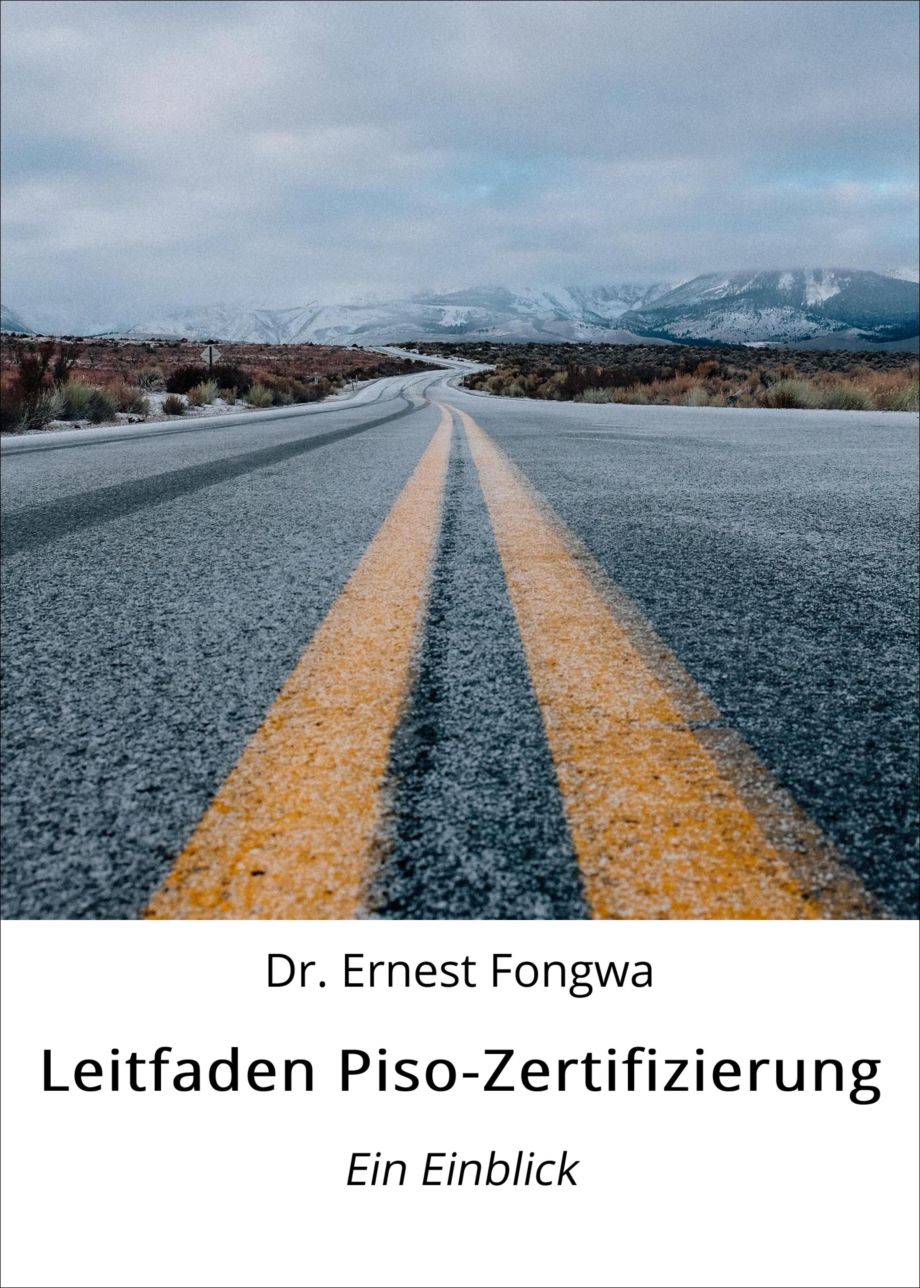 Обложка книги «Leitfaden Piso-Zertifizierung»